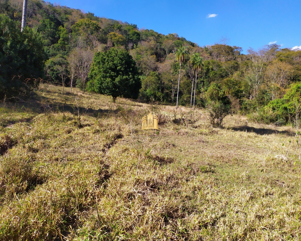 Fazenda à venda com 3 quartos, 660000m² - Foto 60