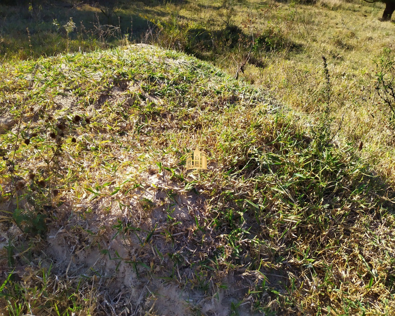 Fazenda à venda com 3 quartos, 660000m² - Foto 63