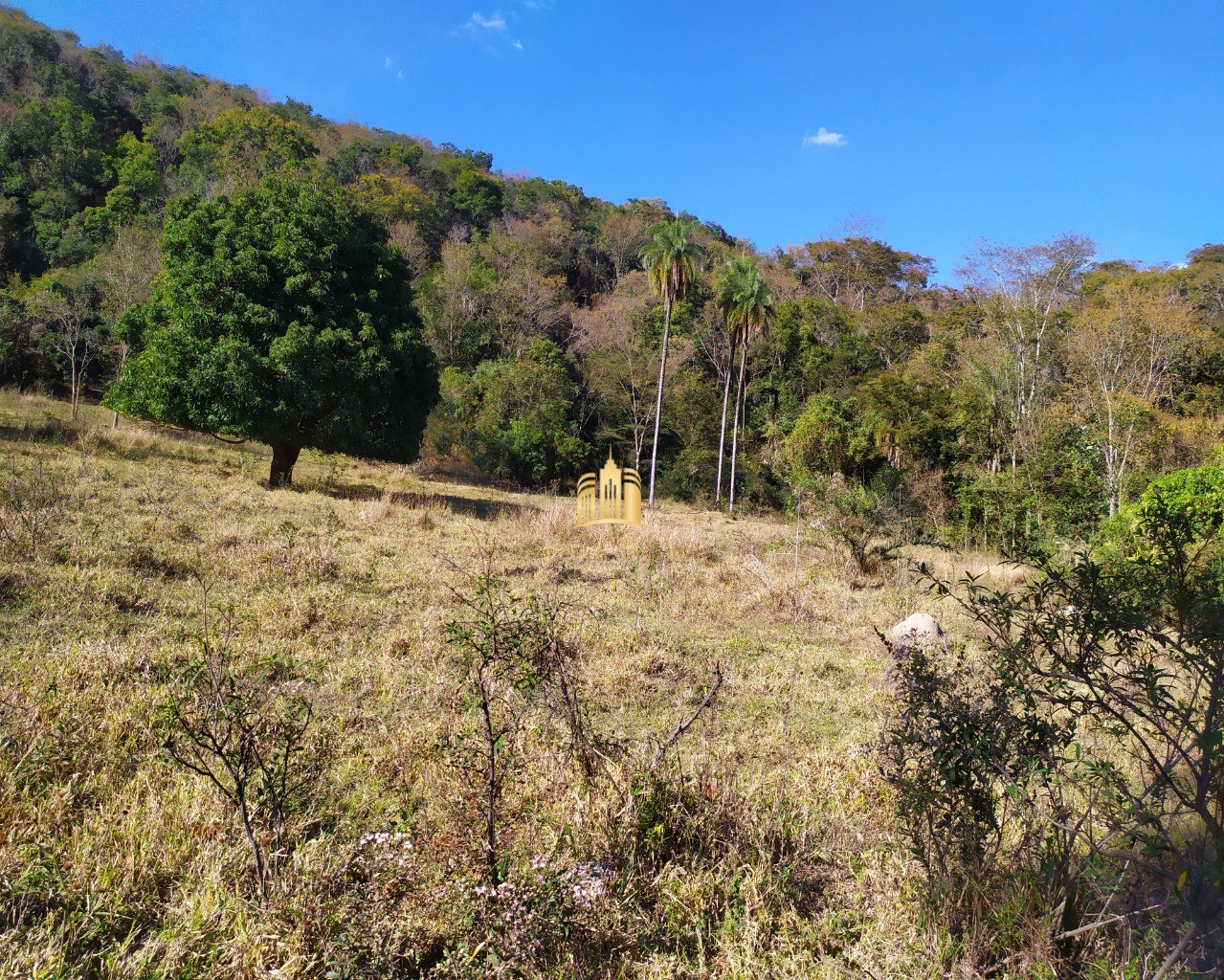 Fazenda à venda com 3 quartos, 660000m² - Foto 64