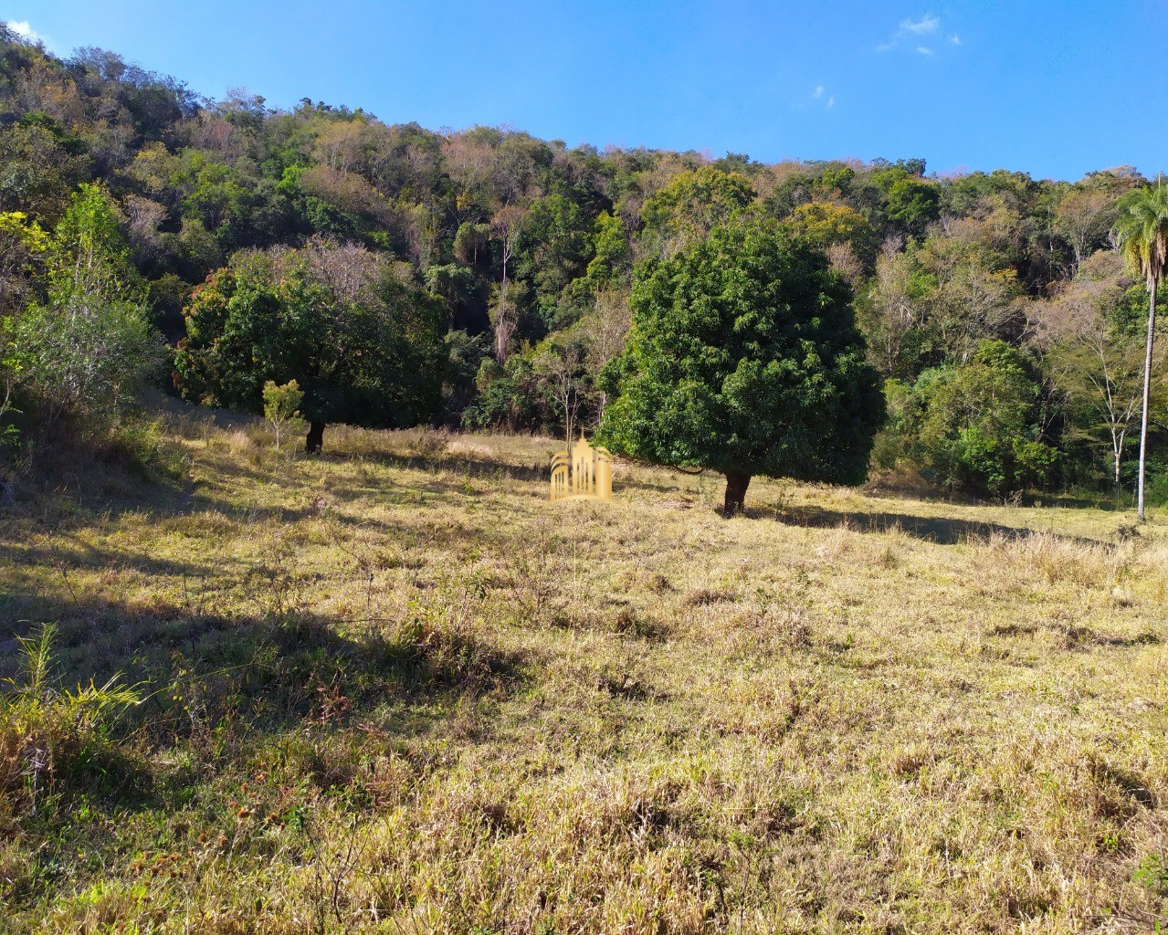 Fazenda à venda com 3 quartos, 660000m² - Foto 65