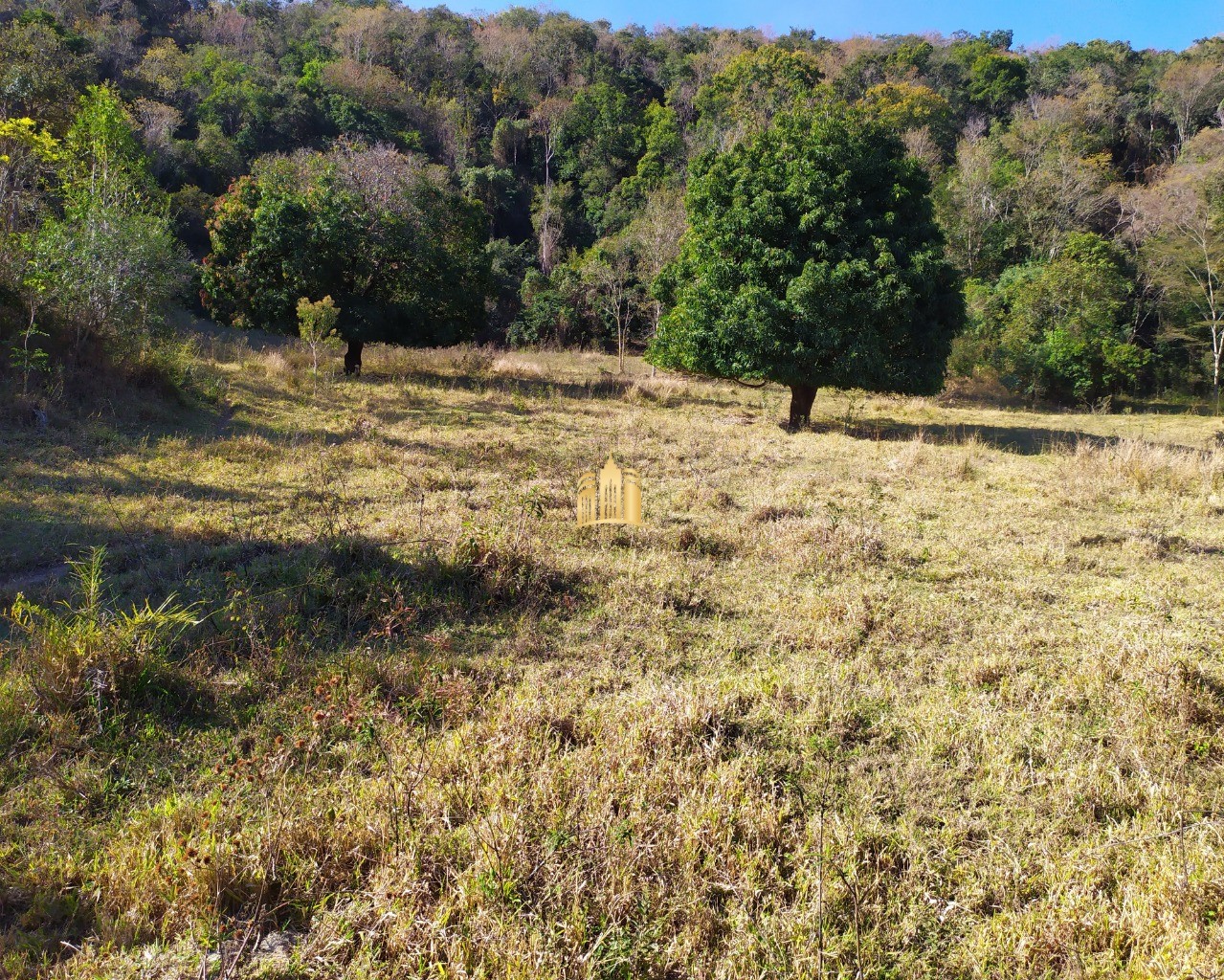 Fazenda à venda com 3 quartos, 660000m² - Foto 66