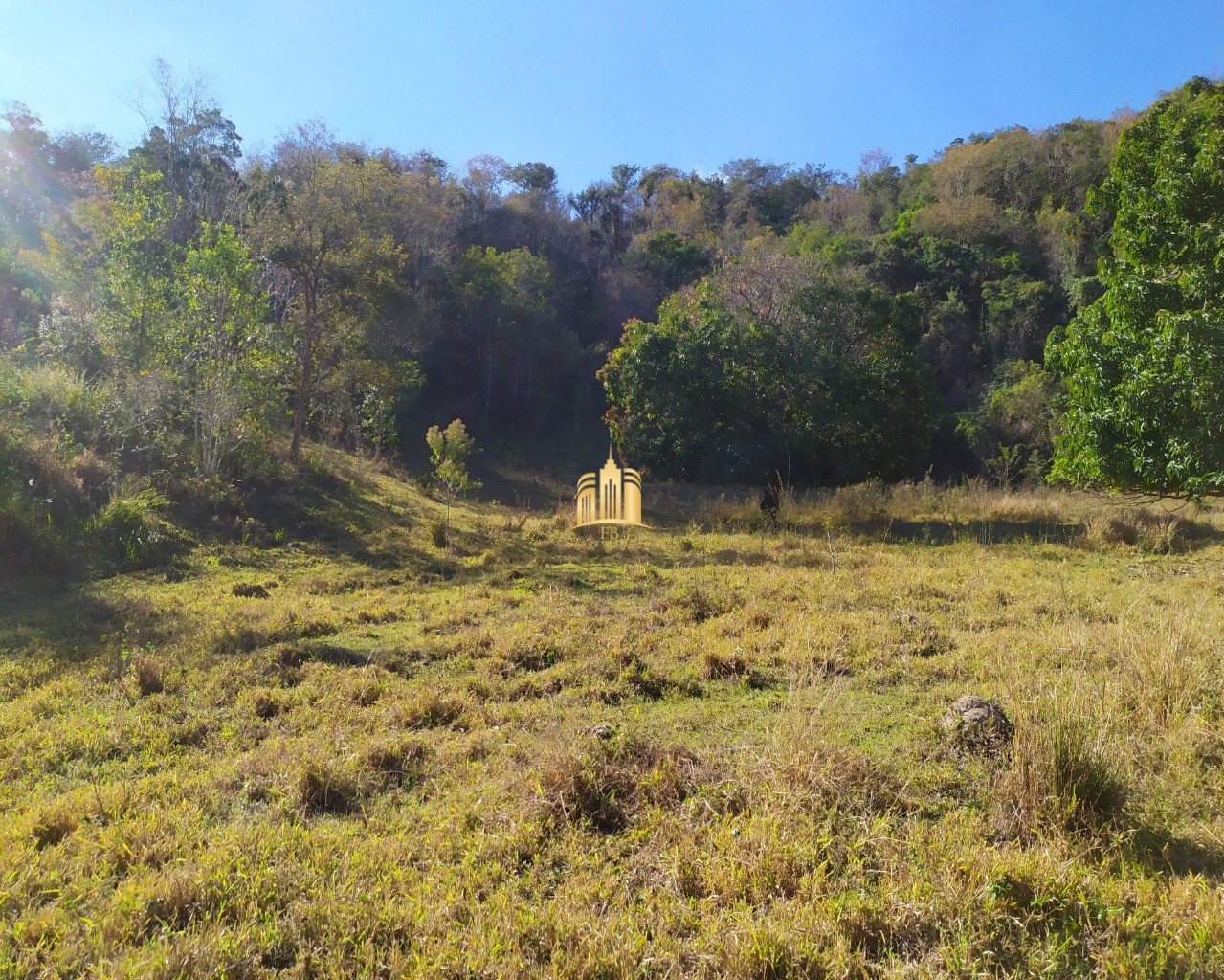 Fazenda à venda com 3 quartos, 660000m² - Foto 67