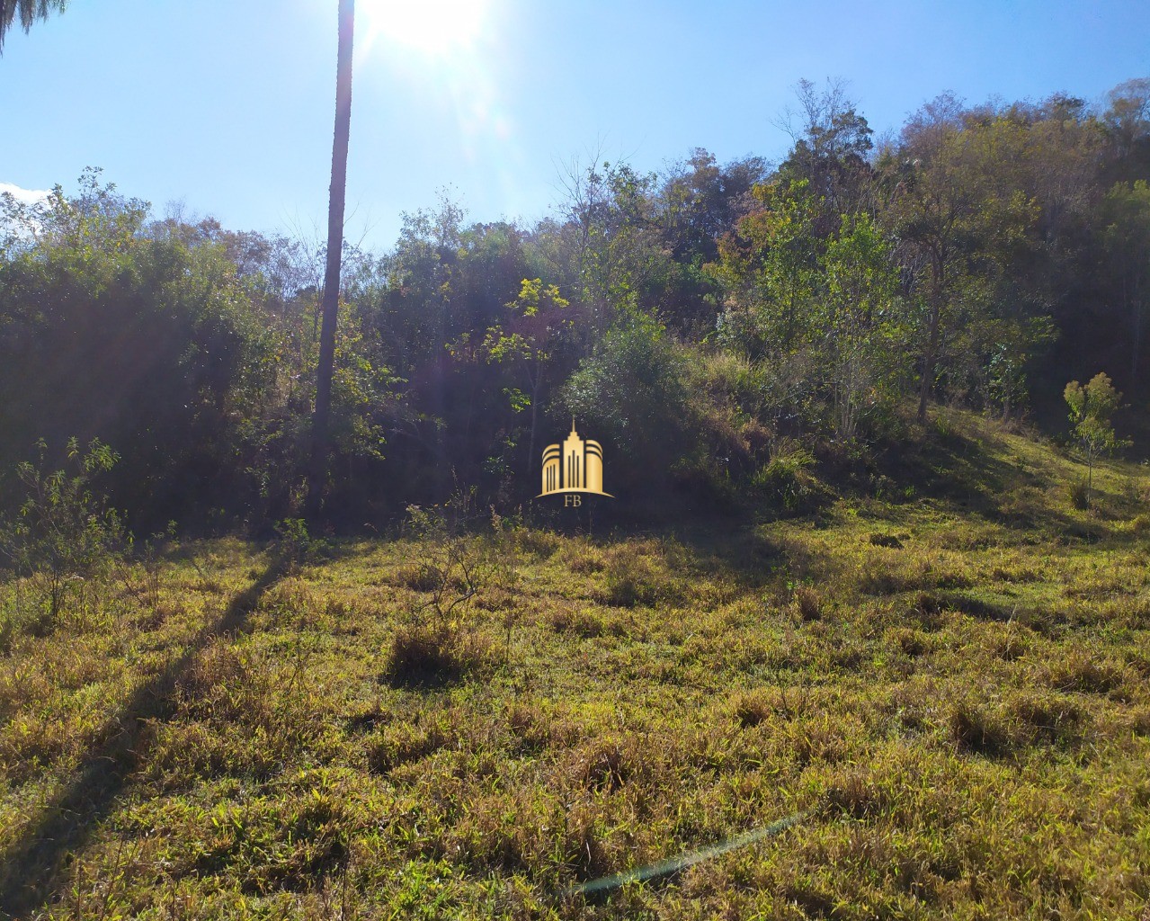 Fazenda à venda com 3 quartos, 660000m² - Foto 68