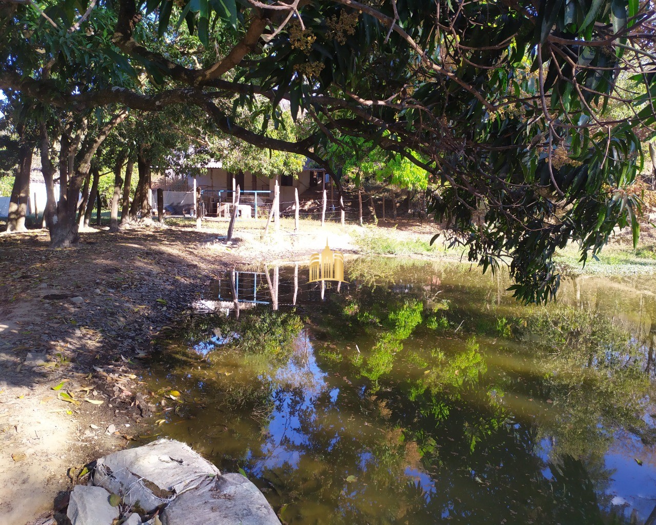 Fazenda à venda com 3 quartos, 660000m² - Foto 69