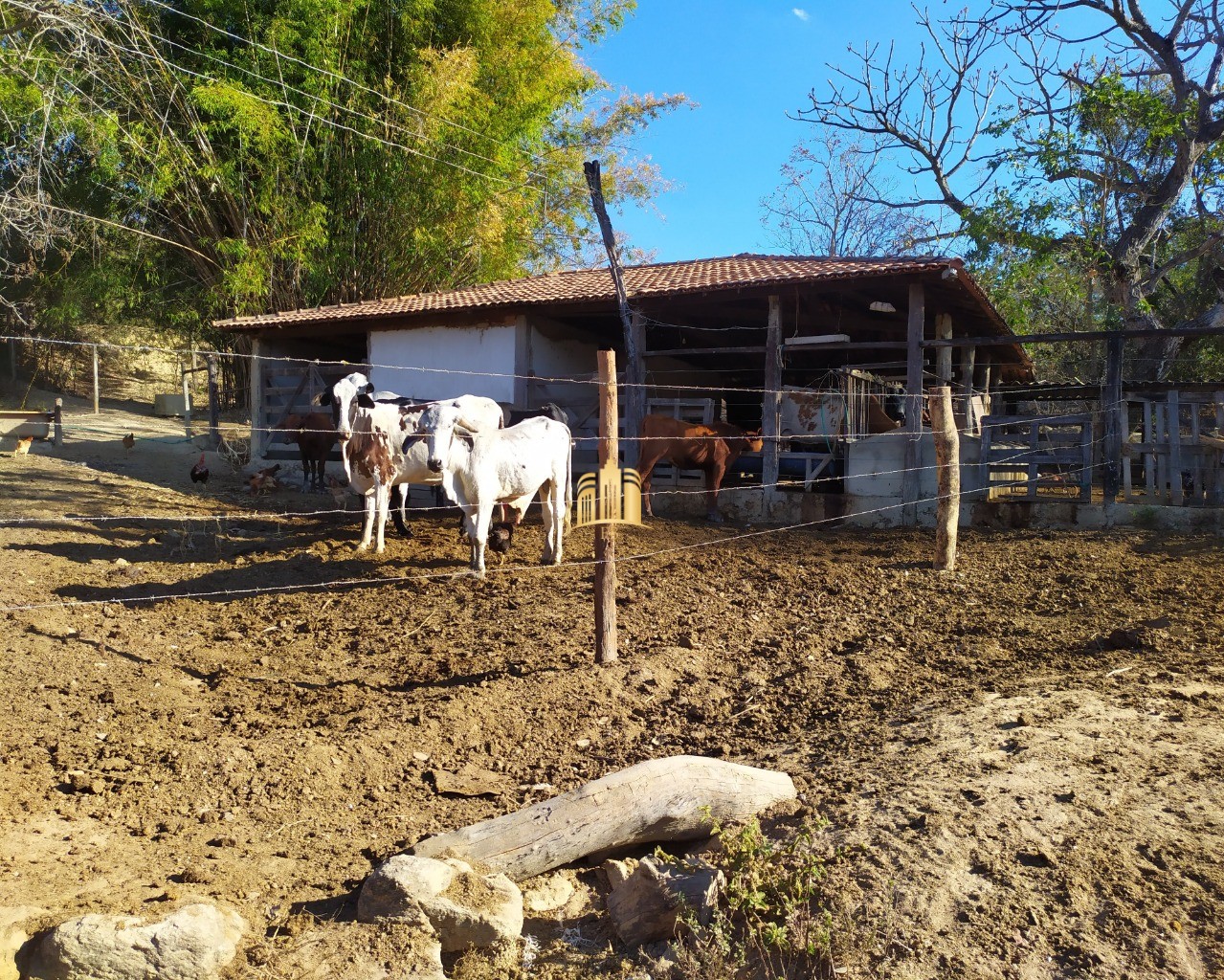 Fazenda à venda com 3 quartos, 660000m² - Foto 90