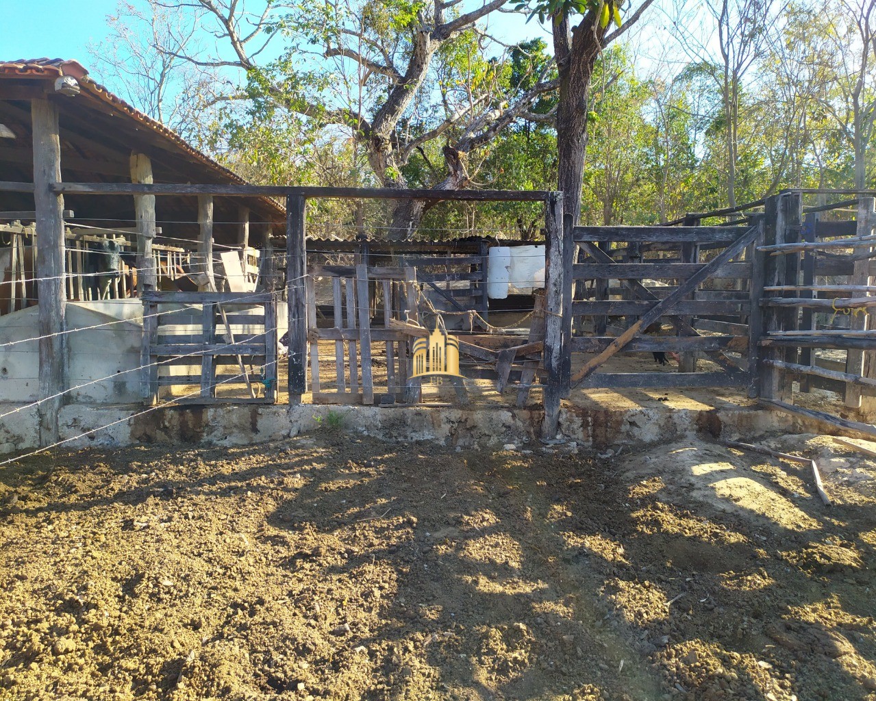 Fazenda à venda com 3 quartos, 660000m² - Foto 91