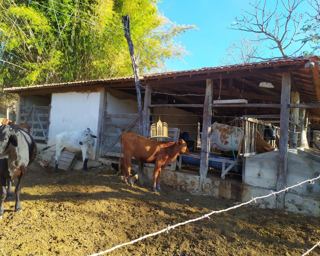 Fazenda à venda com 3 quartos, 660000m² - Foto 92