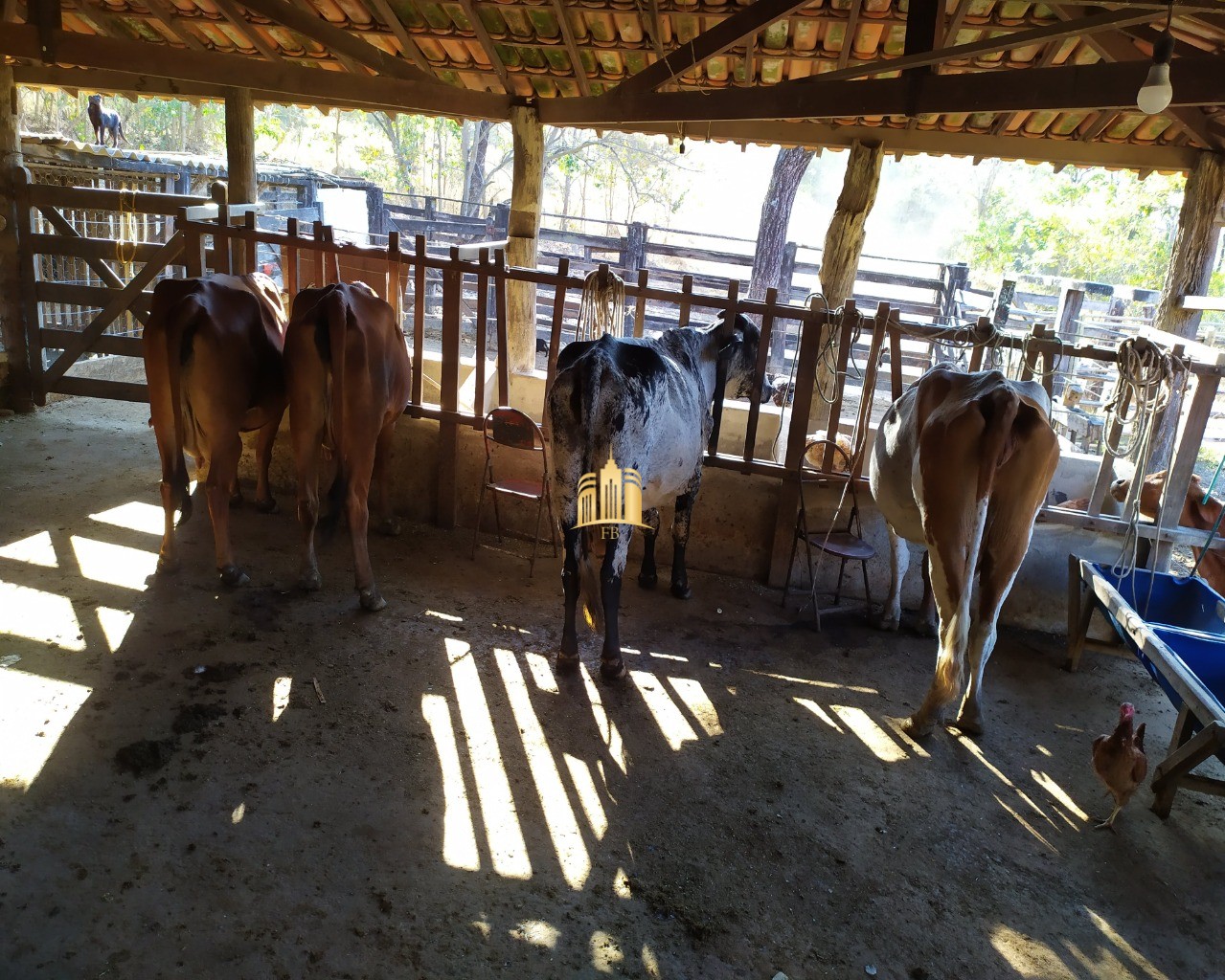 Fazenda à venda com 3 quartos, 660000m² - Foto 96