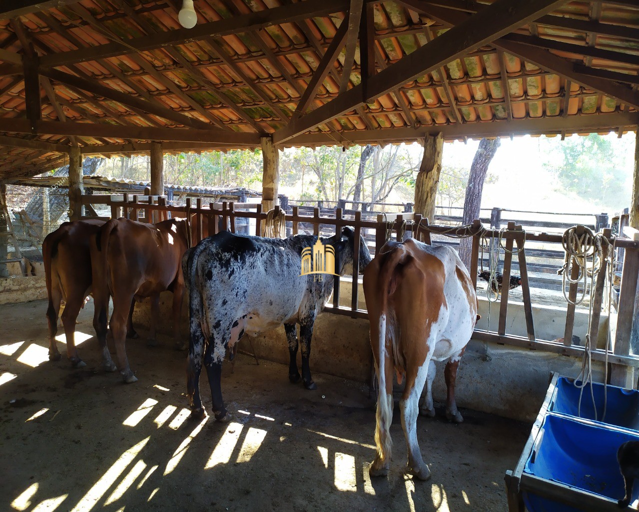 Fazenda à venda com 3 quartos, 660000m² - Foto 97