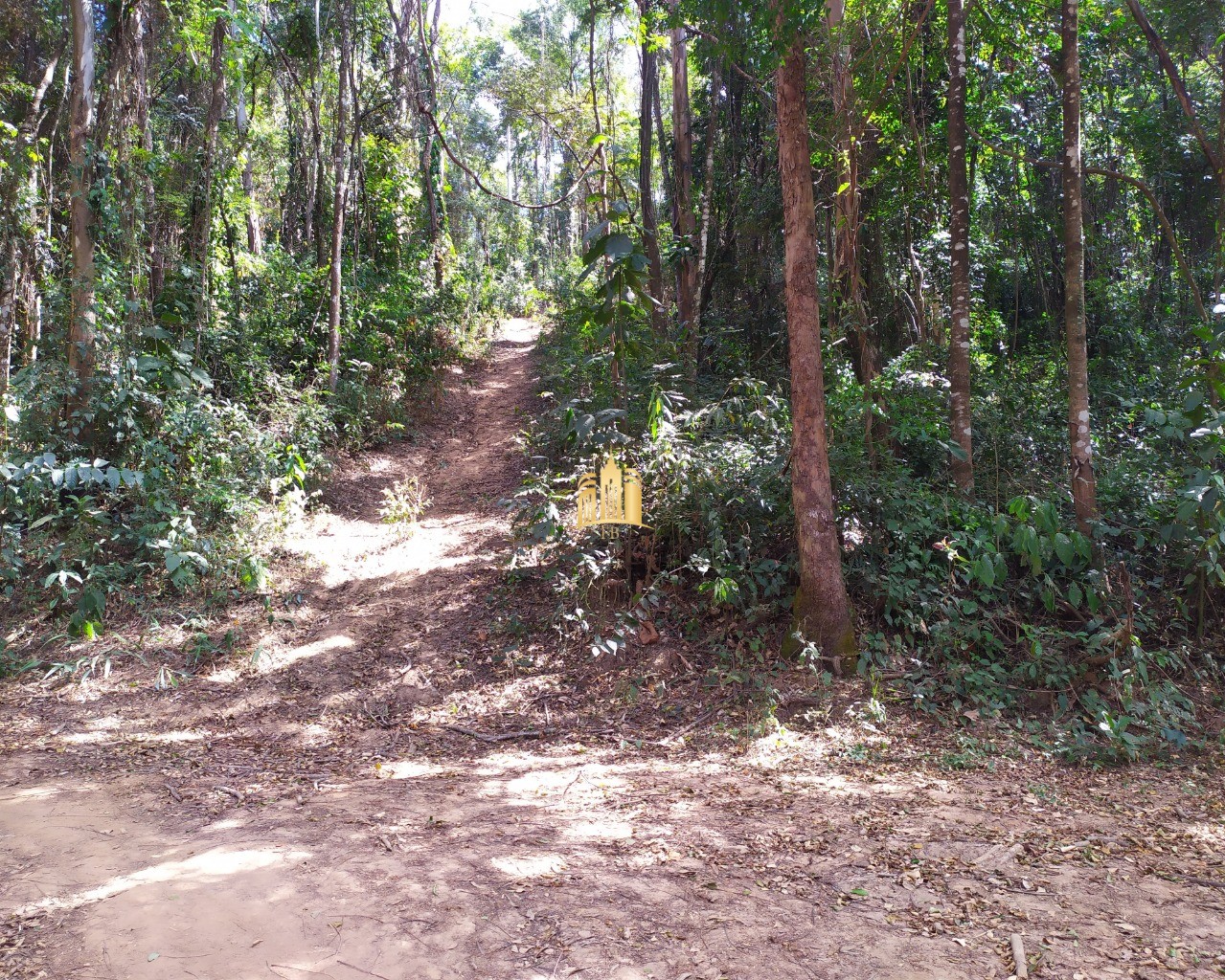 Terreno à venda, 5000m² - Foto 2