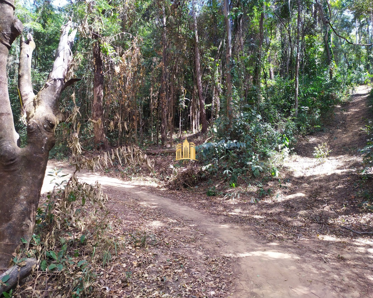 Terreno à venda, 5000m² - Foto 3