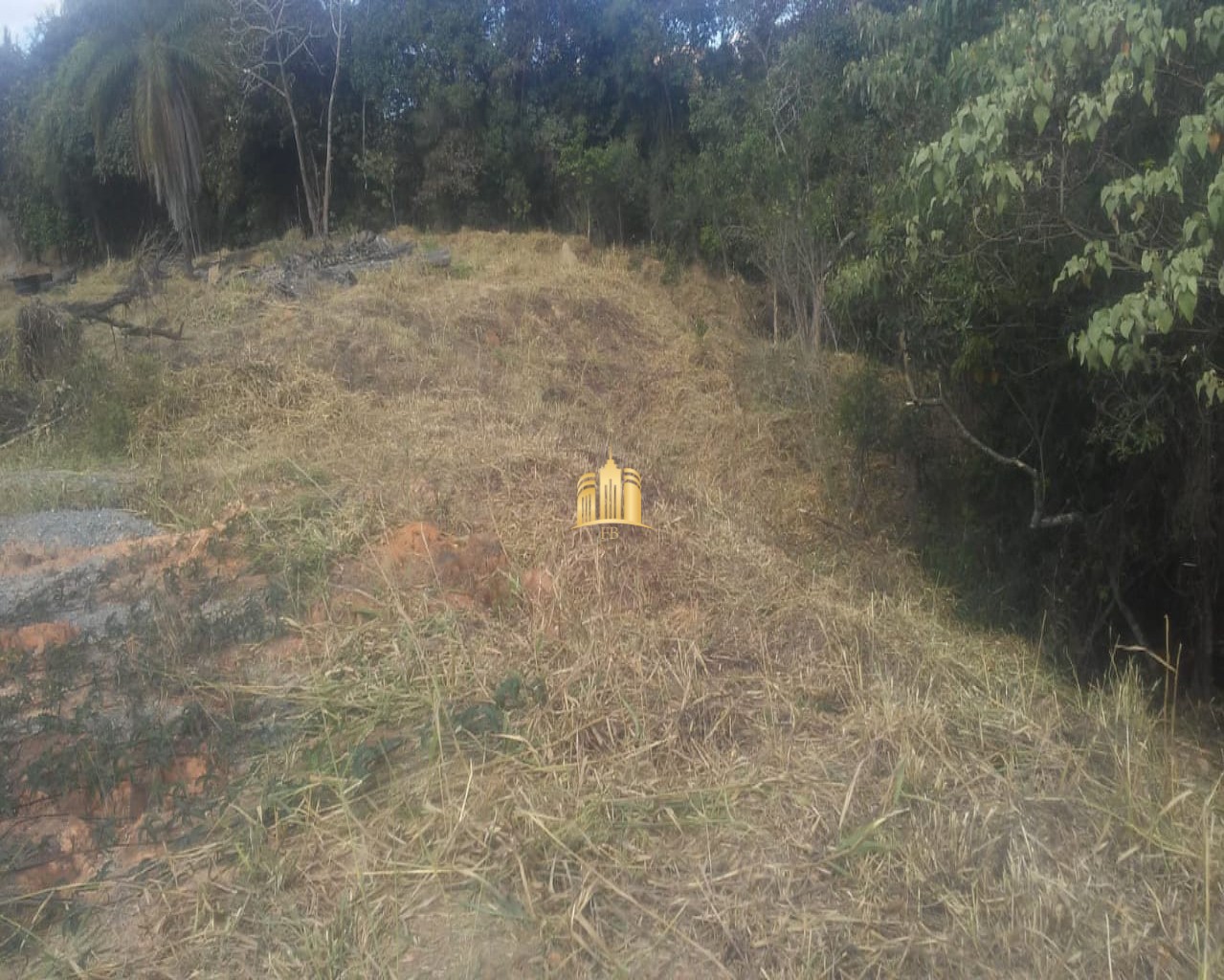 Loteamento e Condomínio à venda e aluguel, 10000m² - Foto 9