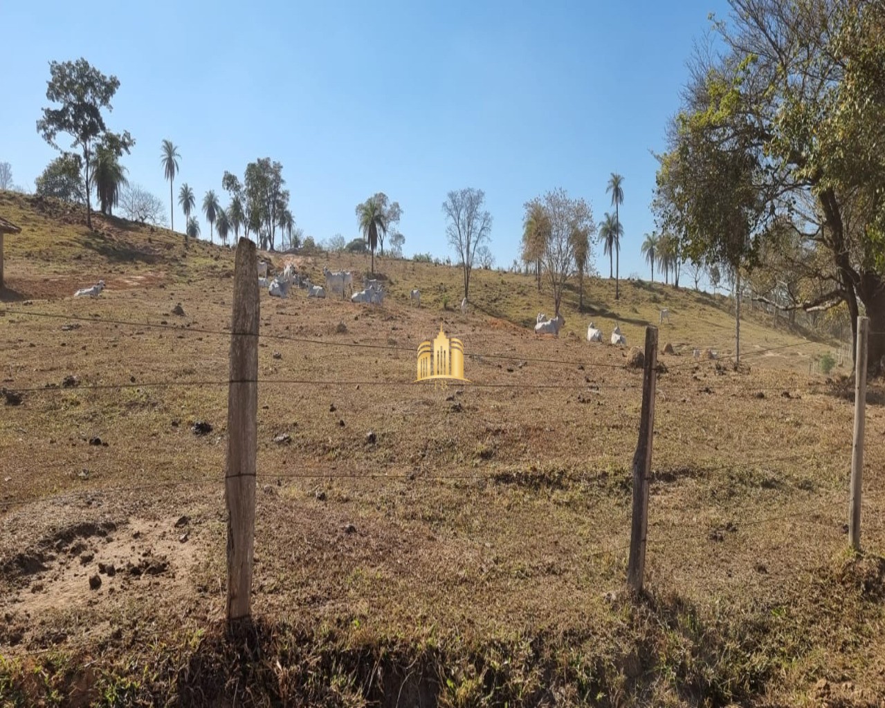 Fazenda à venda com 3 quartos, 100m² - Foto 8