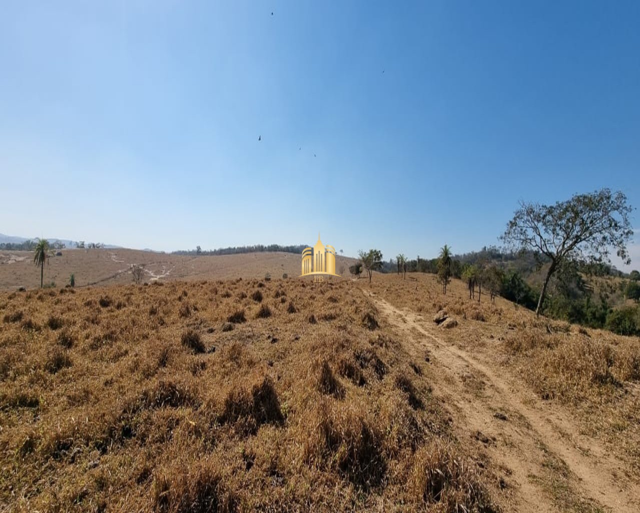 Fazenda à venda com 3 quartos, 100m² - Foto 9