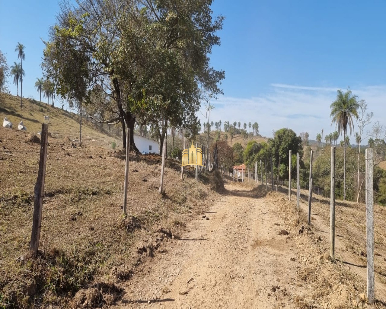 Fazenda à venda com 3 quartos, 100m² - Foto 7