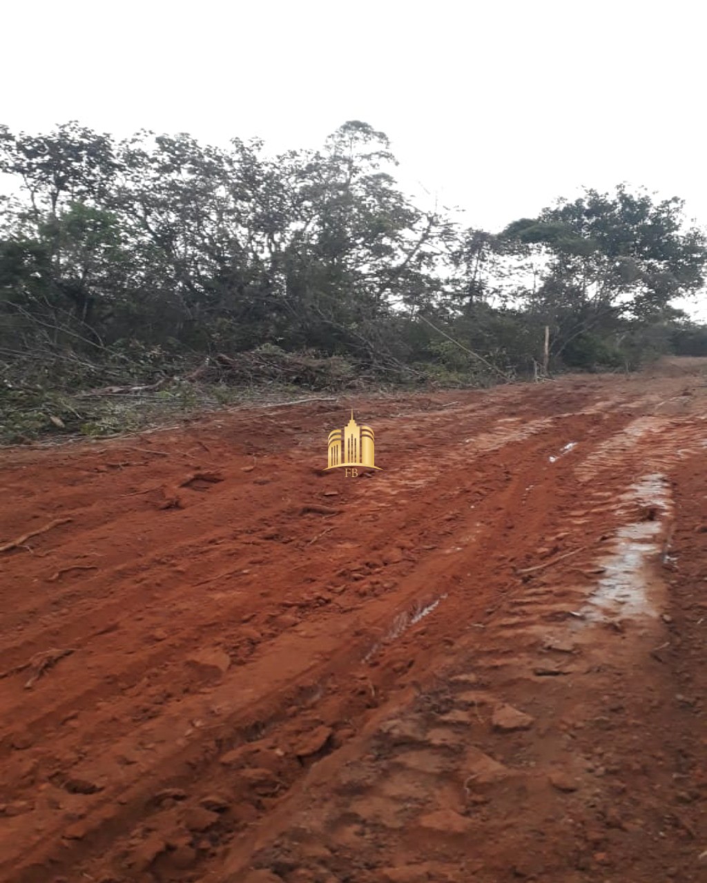 Terreno à venda, 20000m² - Foto 1