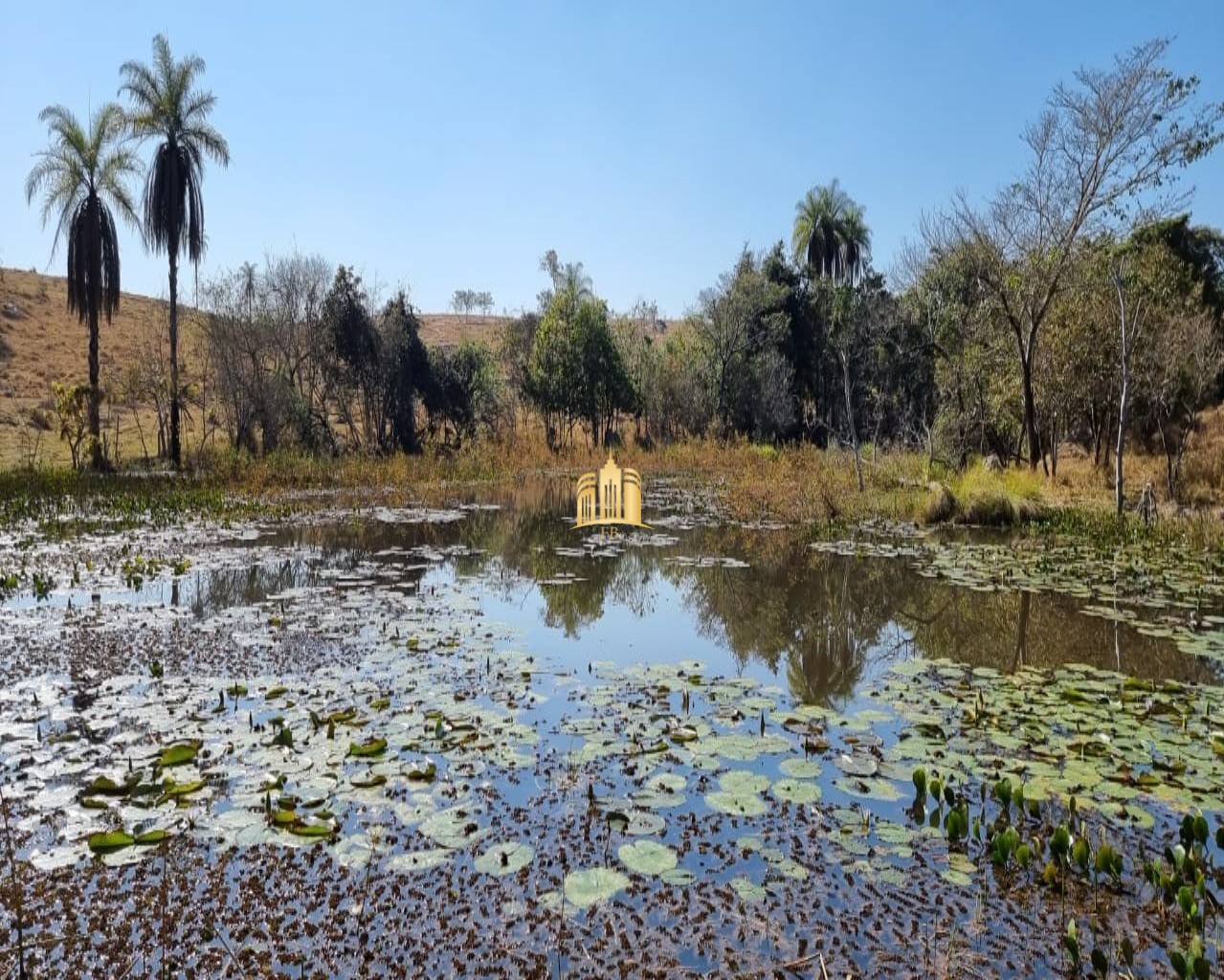 Fazenda à venda com 3 quartos, 100m² - Foto 1