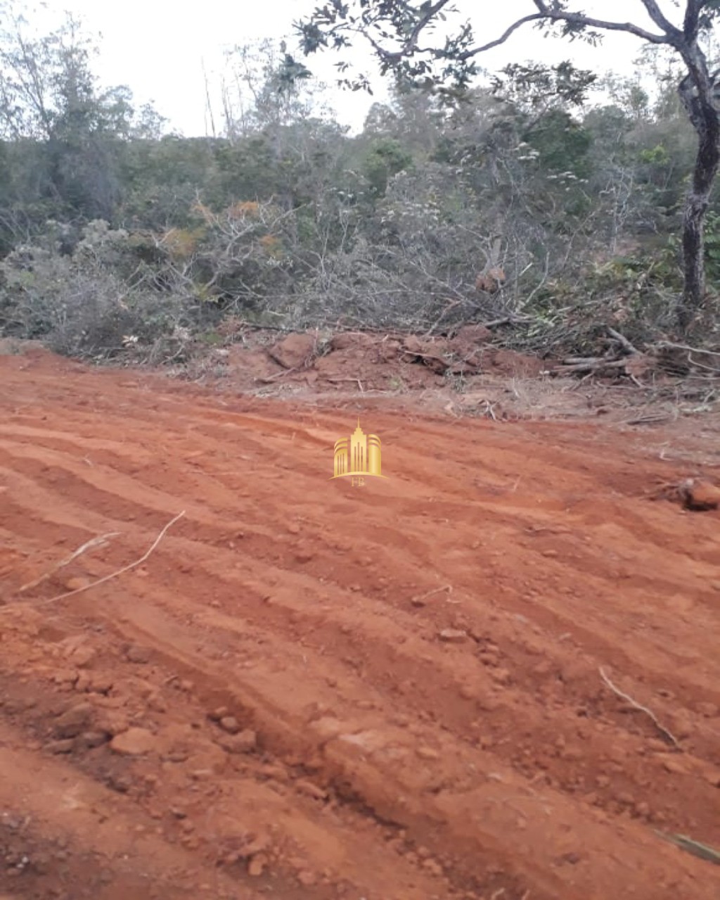 Terreno à venda, 20000m² - Foto 2