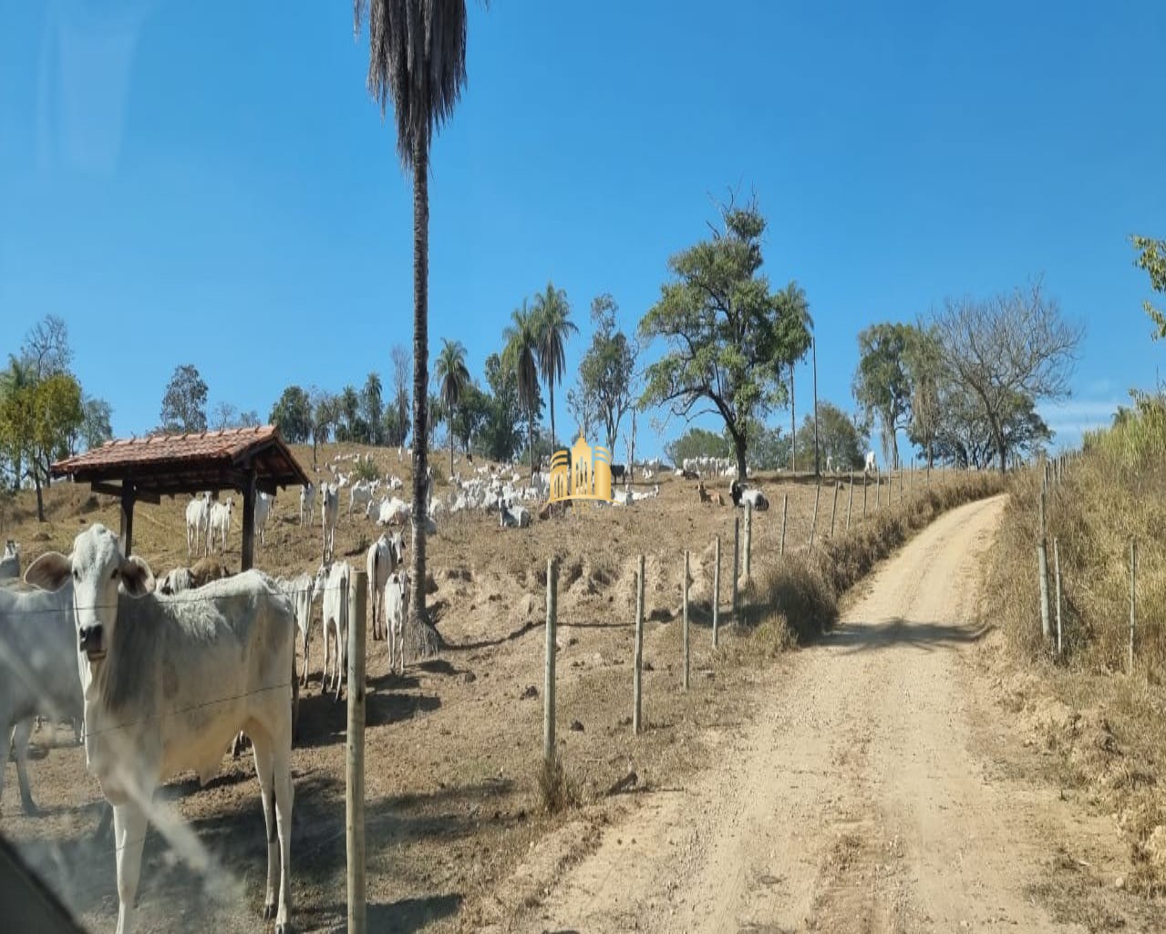 Fazenda à venda com 3 quartos, 100m² - Foto 5