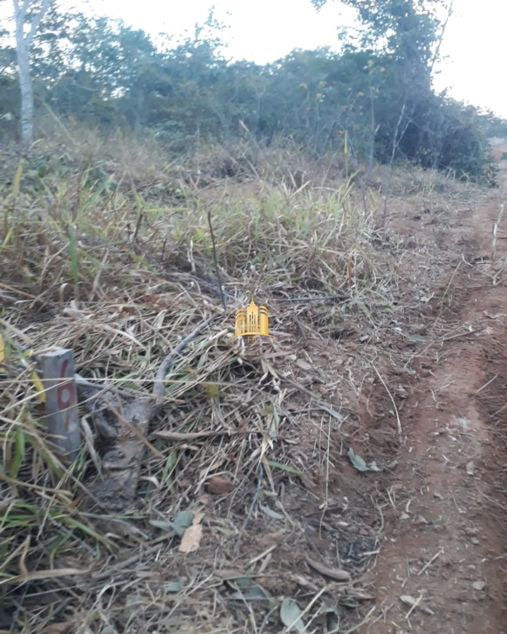 Terreno à venda, 20000m² - Foto 4