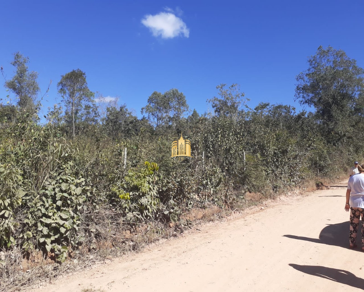 Terreno à venda, 1250m² - Foto 1