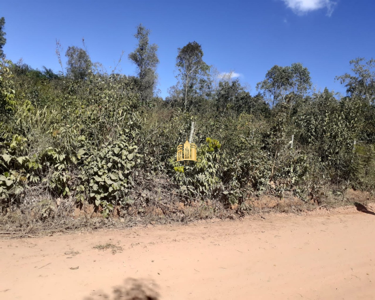 Terreno à venda, 1250m² - Foto 5