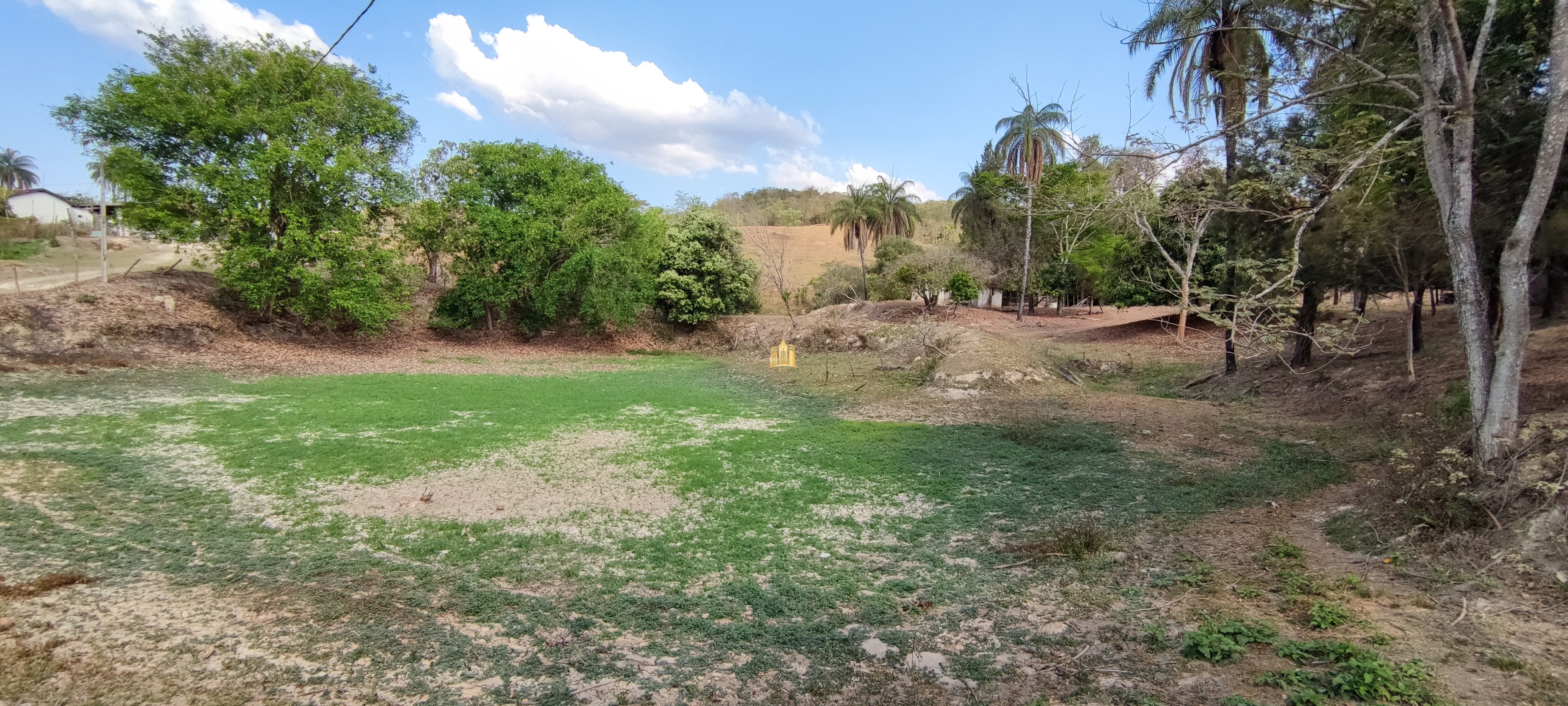 Fazenda à venda com 4 quartos, 1570000m² - Foto 18