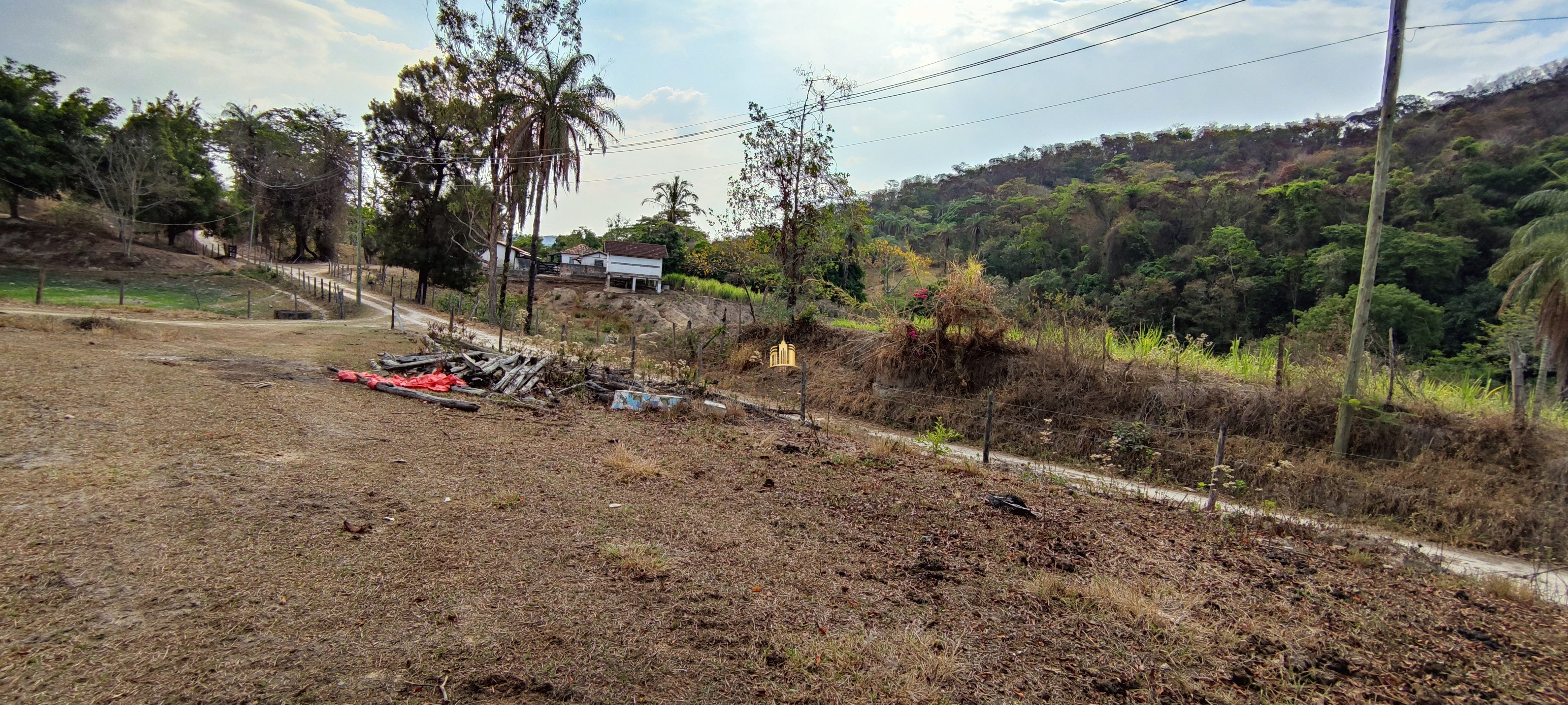 Fazenda à venda com 4 quartos, 1570000m² - Foto 22