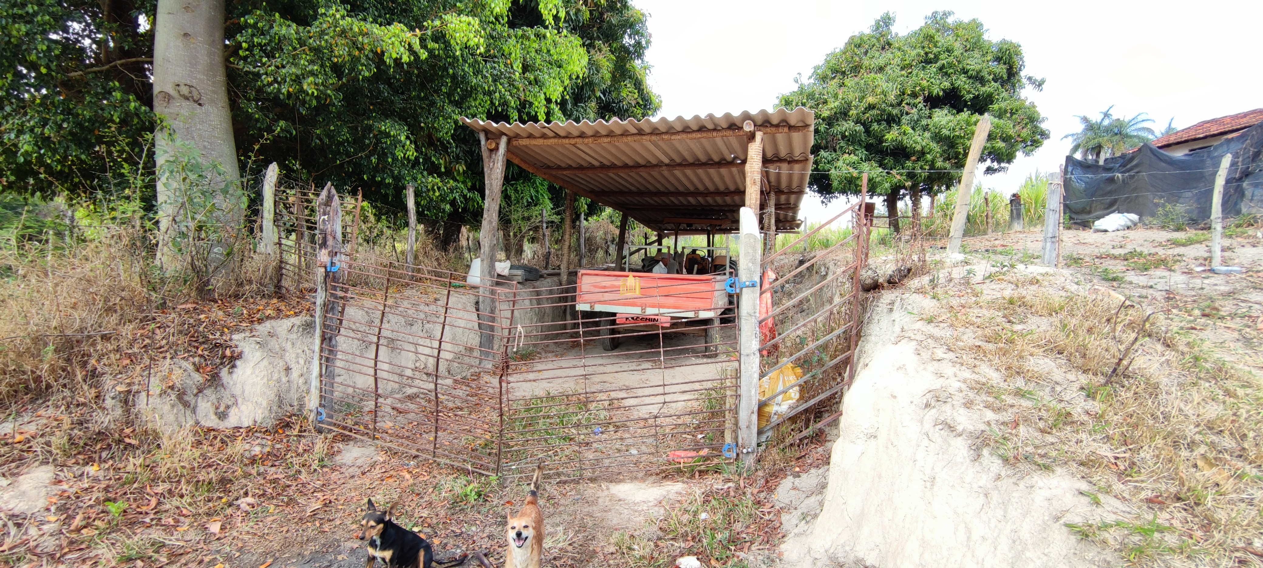 Fazenda à venda com 4 quartos, 1570000m² - Foto 23