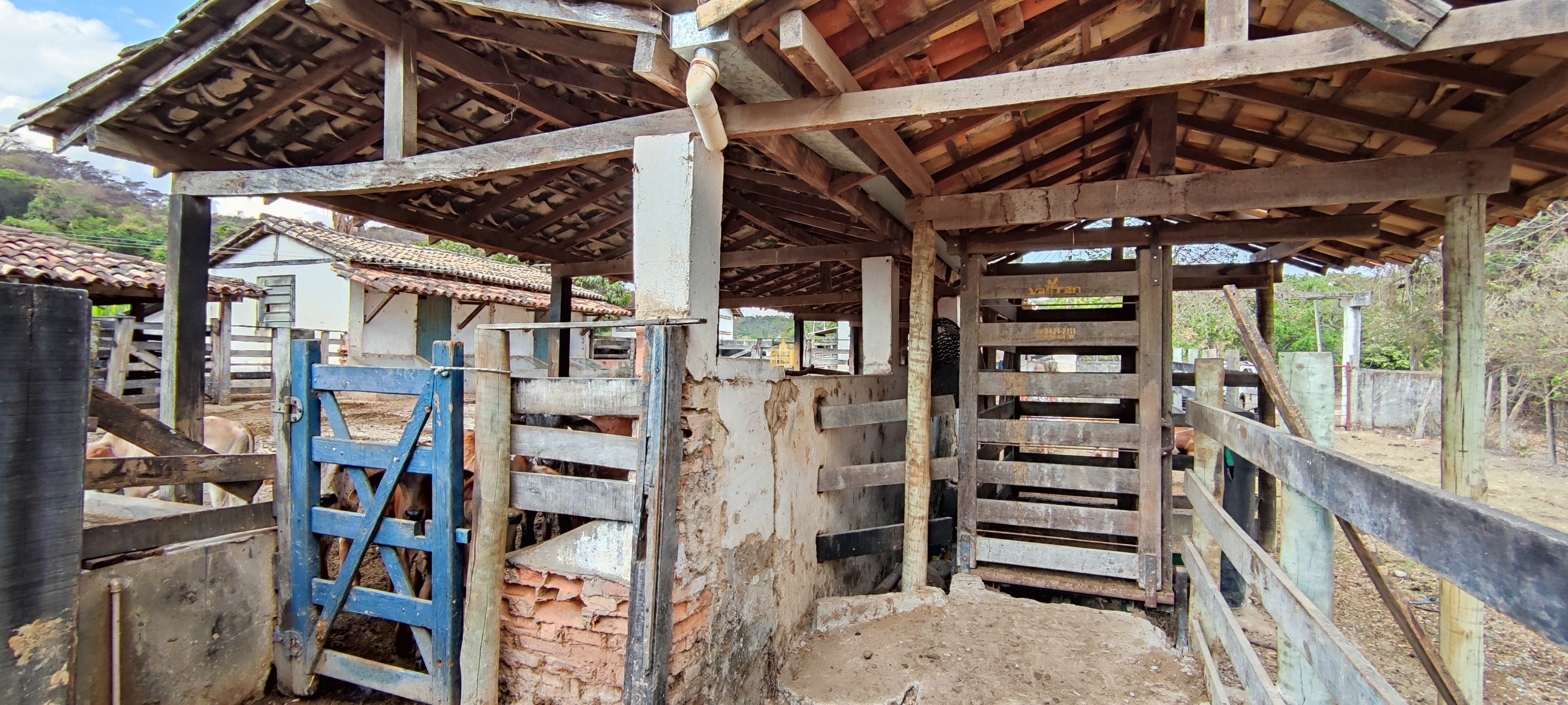 Fazenda à venda com 4 quartos, 1570000m² - Foto 13