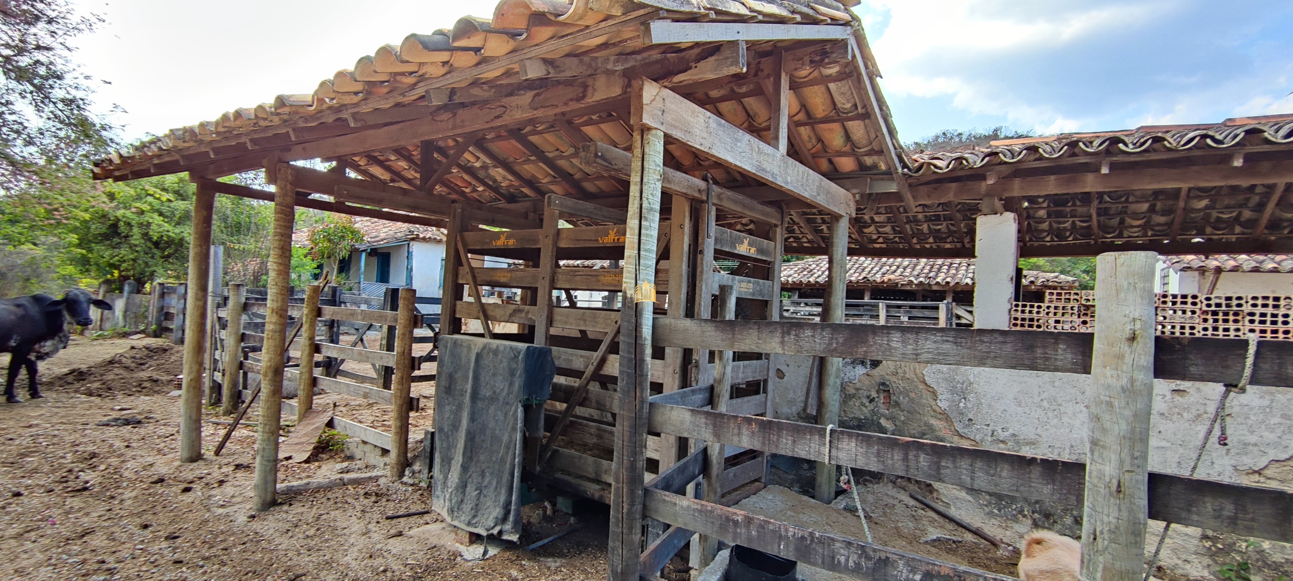 Fazenda à venda com 4 quartos, 1570000m² - Foto 12