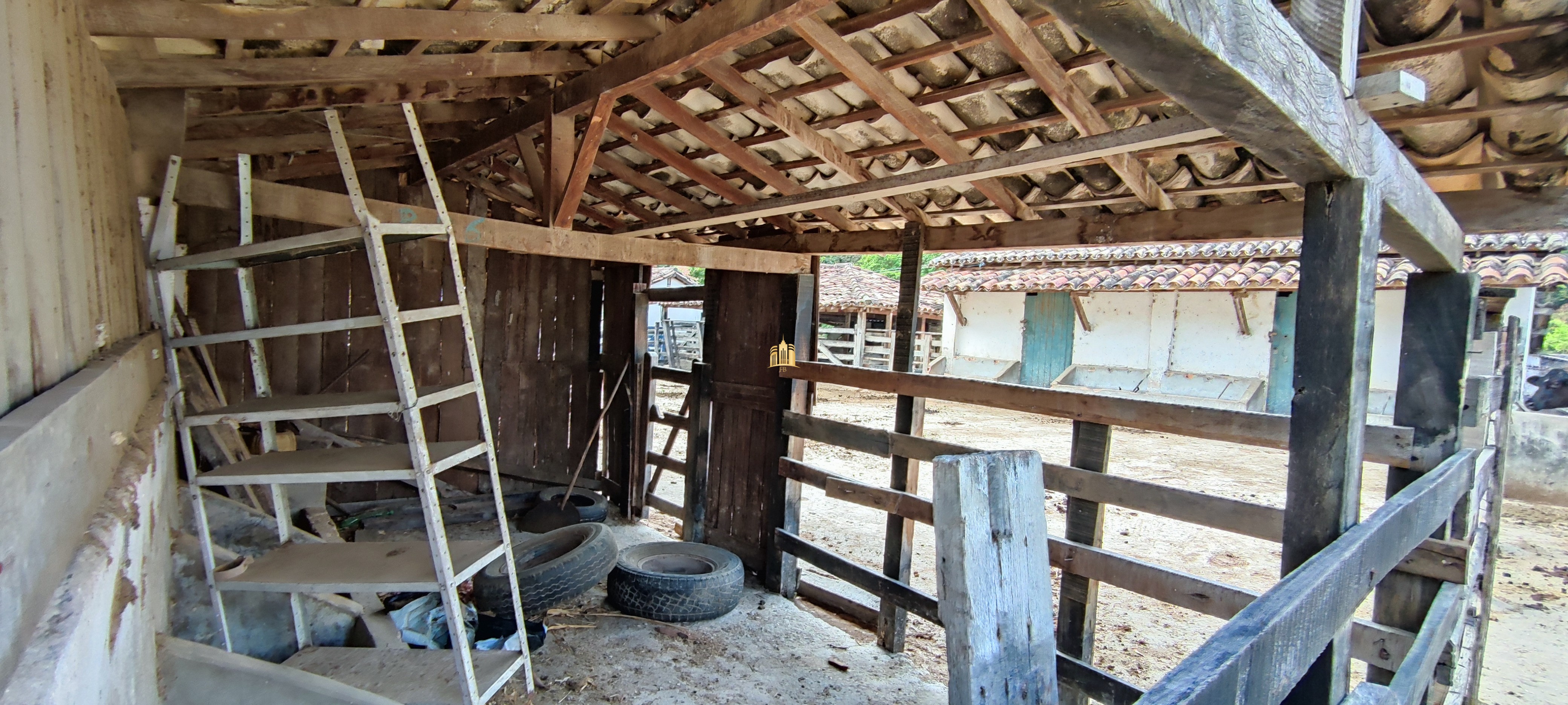 Fazenda à venda com 4 quartos, 1570000m² - Foto 11