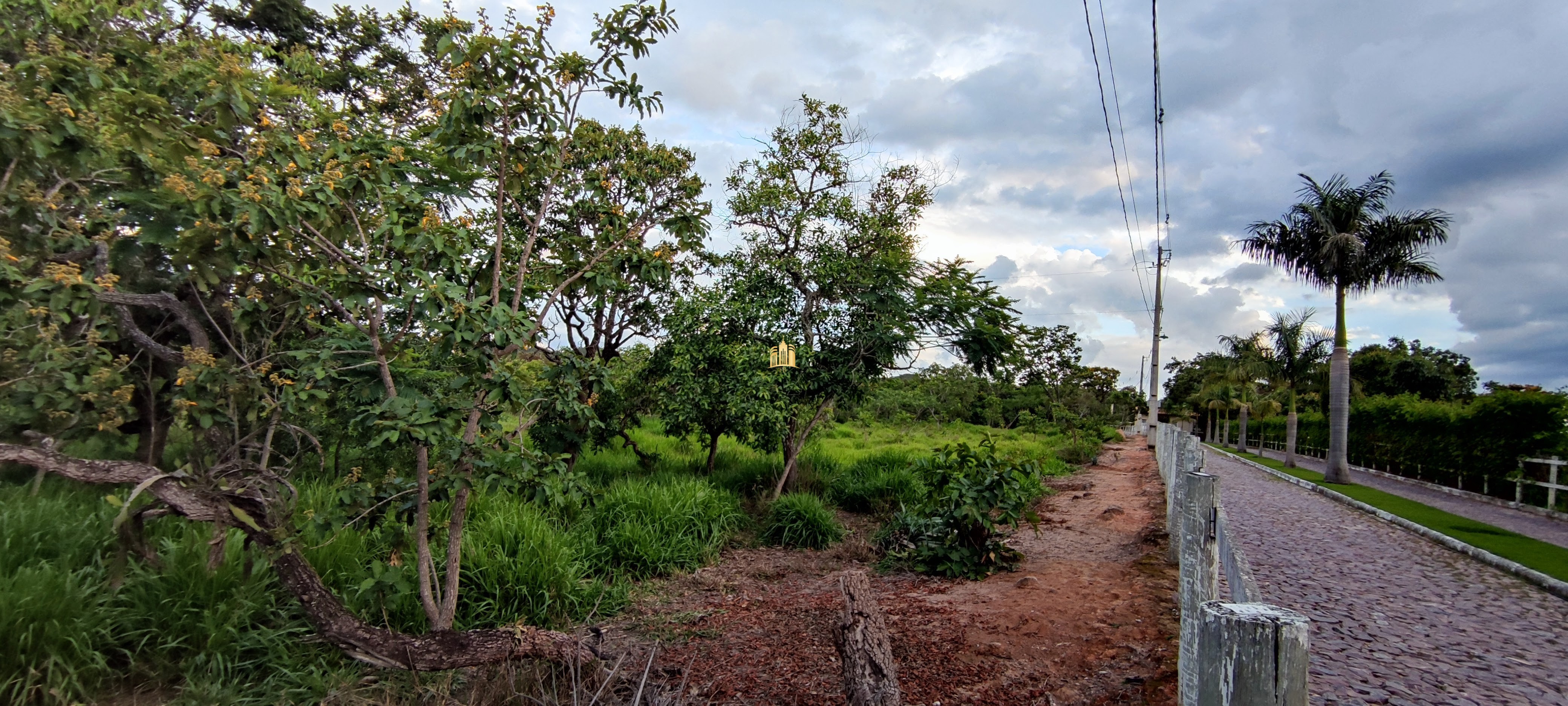 Terreno à venda, 20000m² - Foto 38