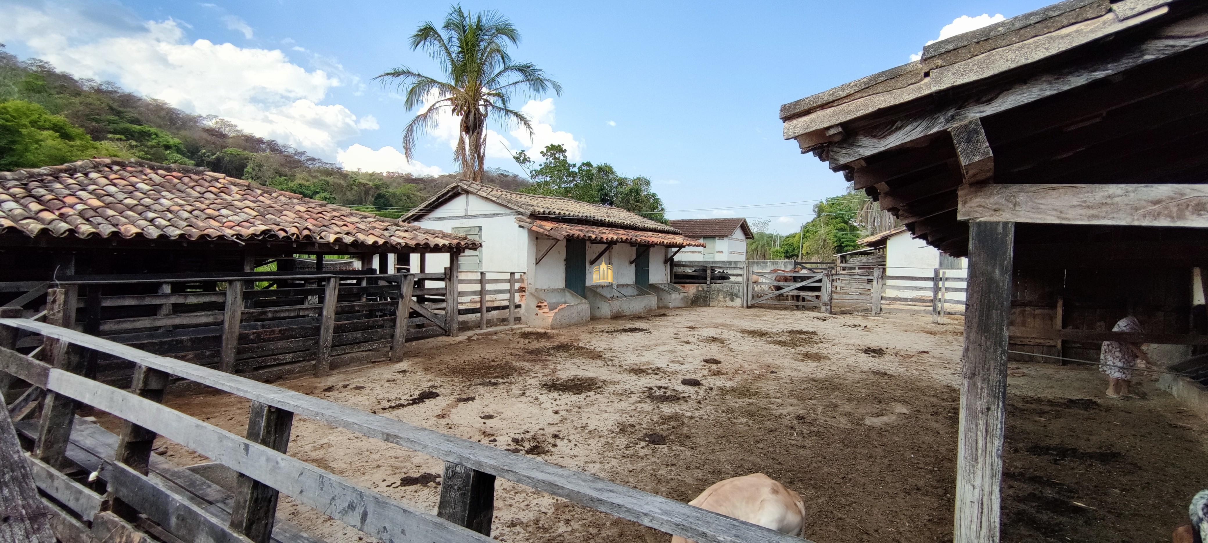 Fazenda à venda com 4 quartos, 1570000m² - Foto 4