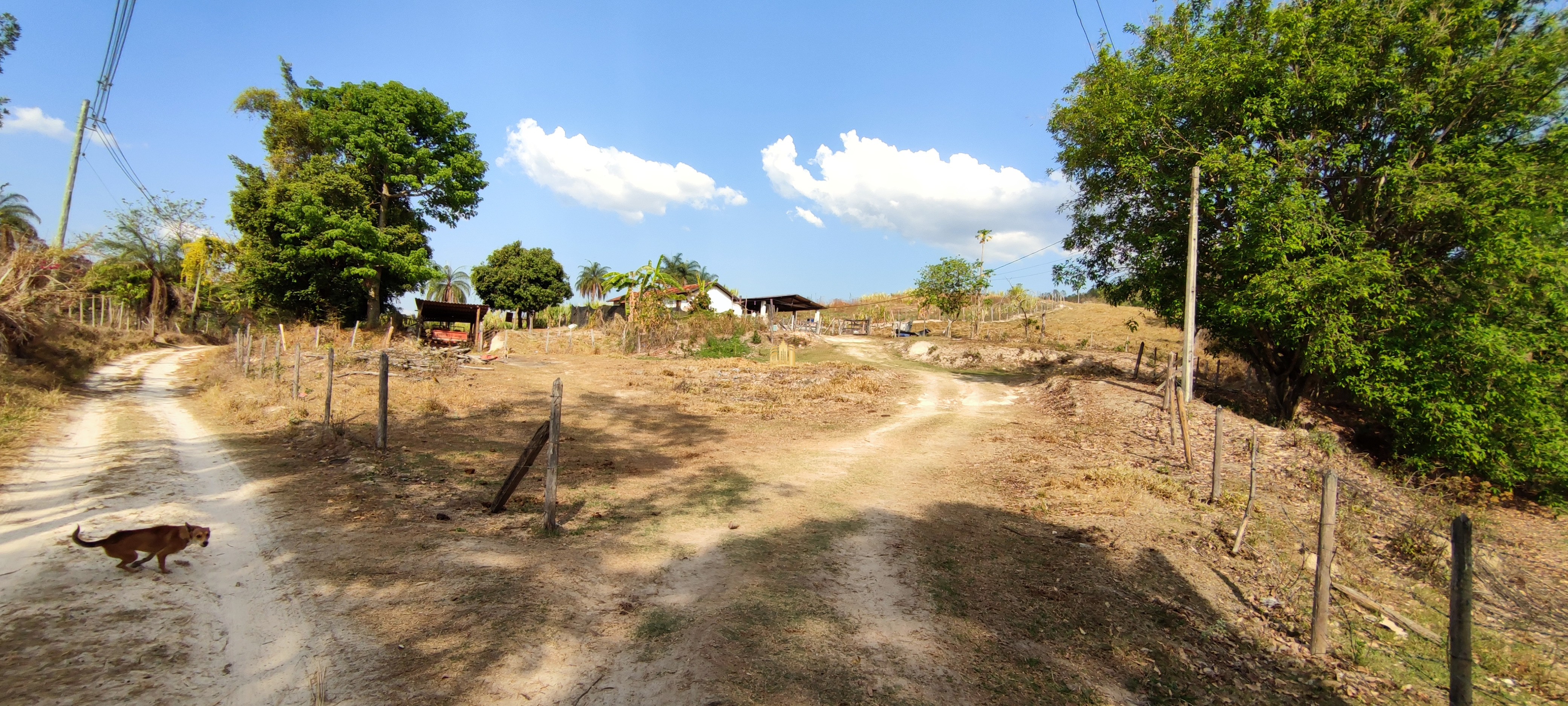 Fazenda à venda com 4 quartos, 1570000m² - Foto 20