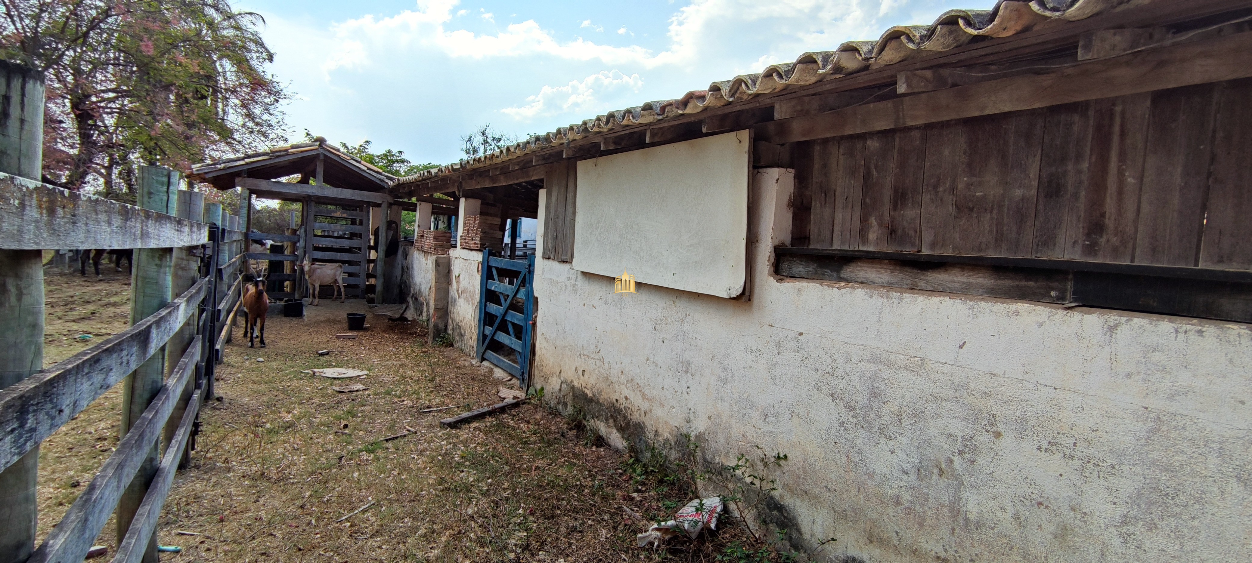 Fazenda à venda com 4 quartos, 1570000m² - Foto 9