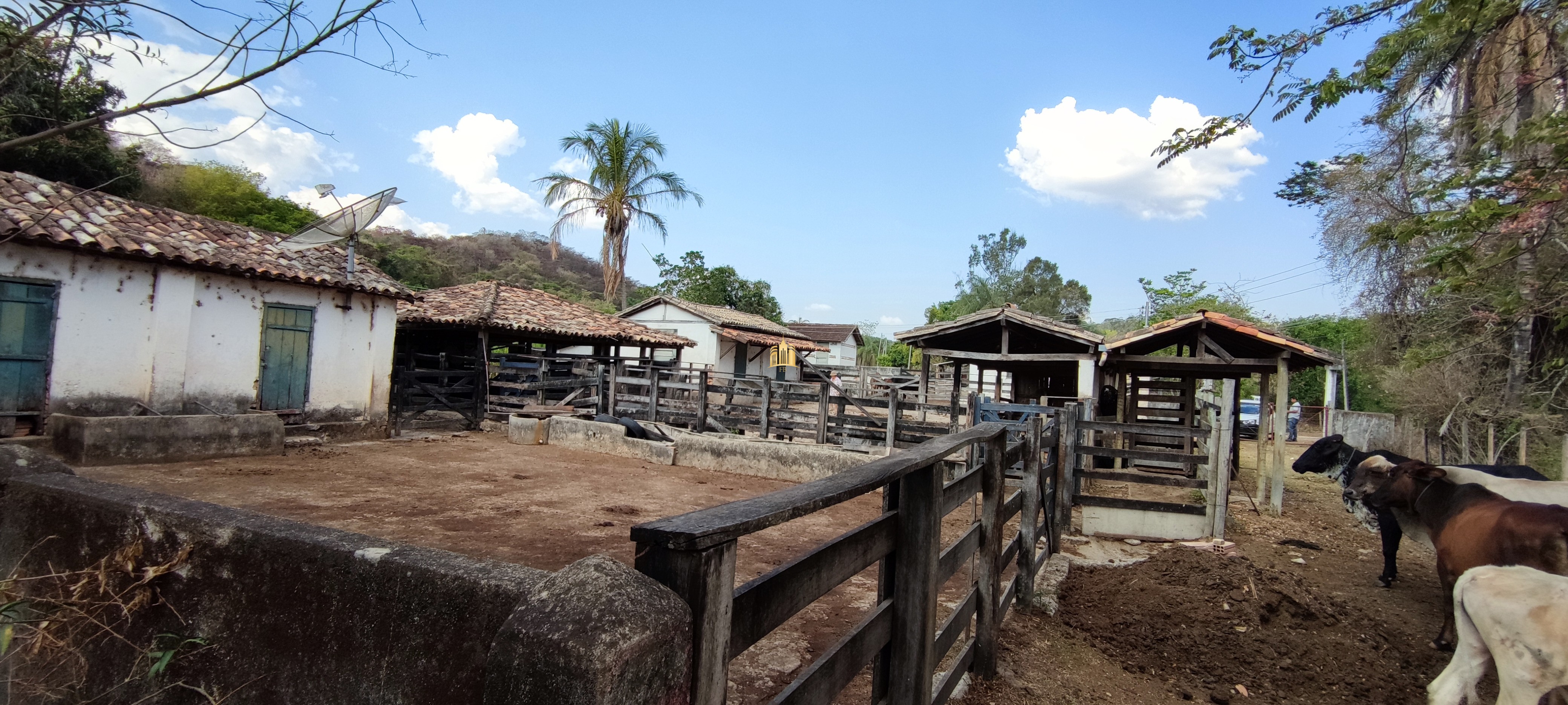 Fazenda à venda com 4 quartos, 1570000m² - Foto 1