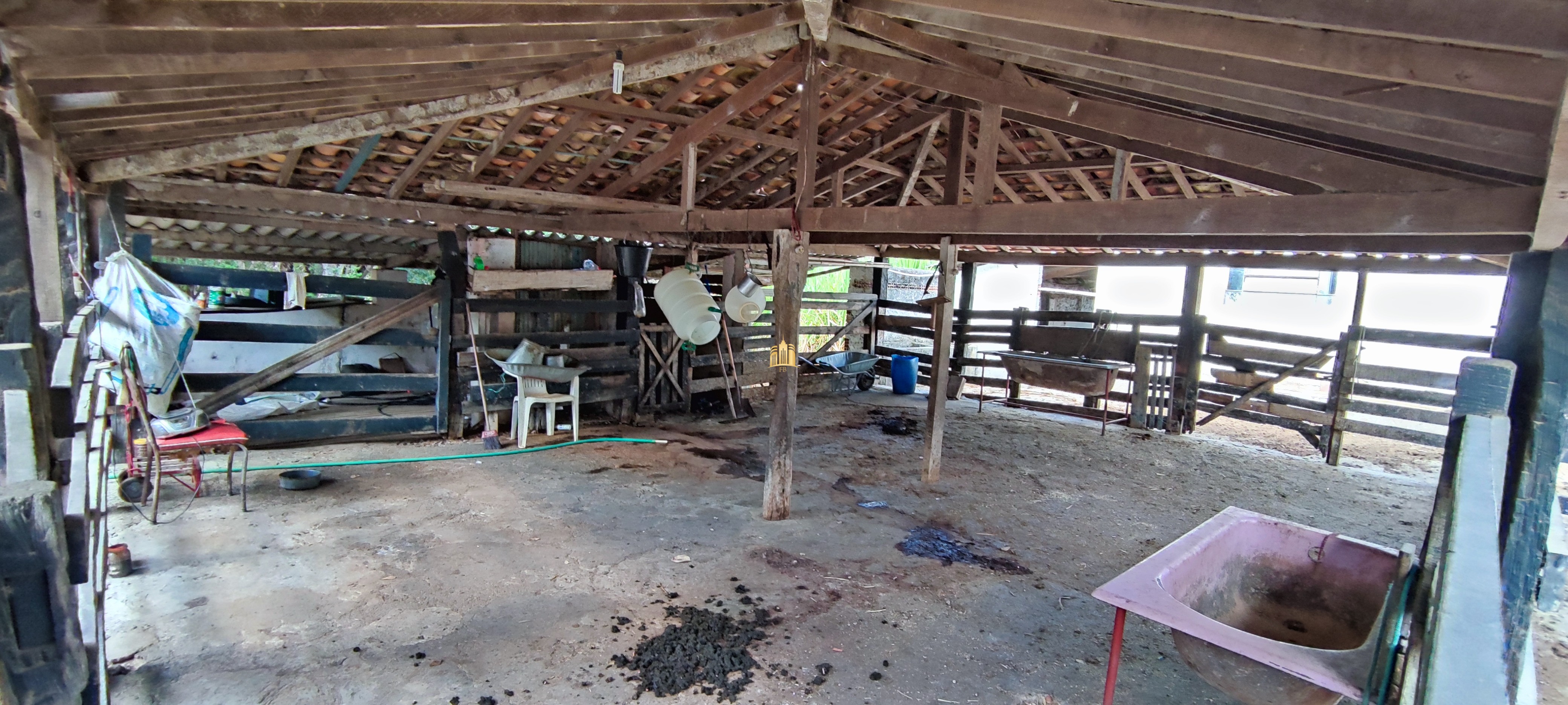 Fazenda à venda com 4 quartos, 1570000m² - Foto 3