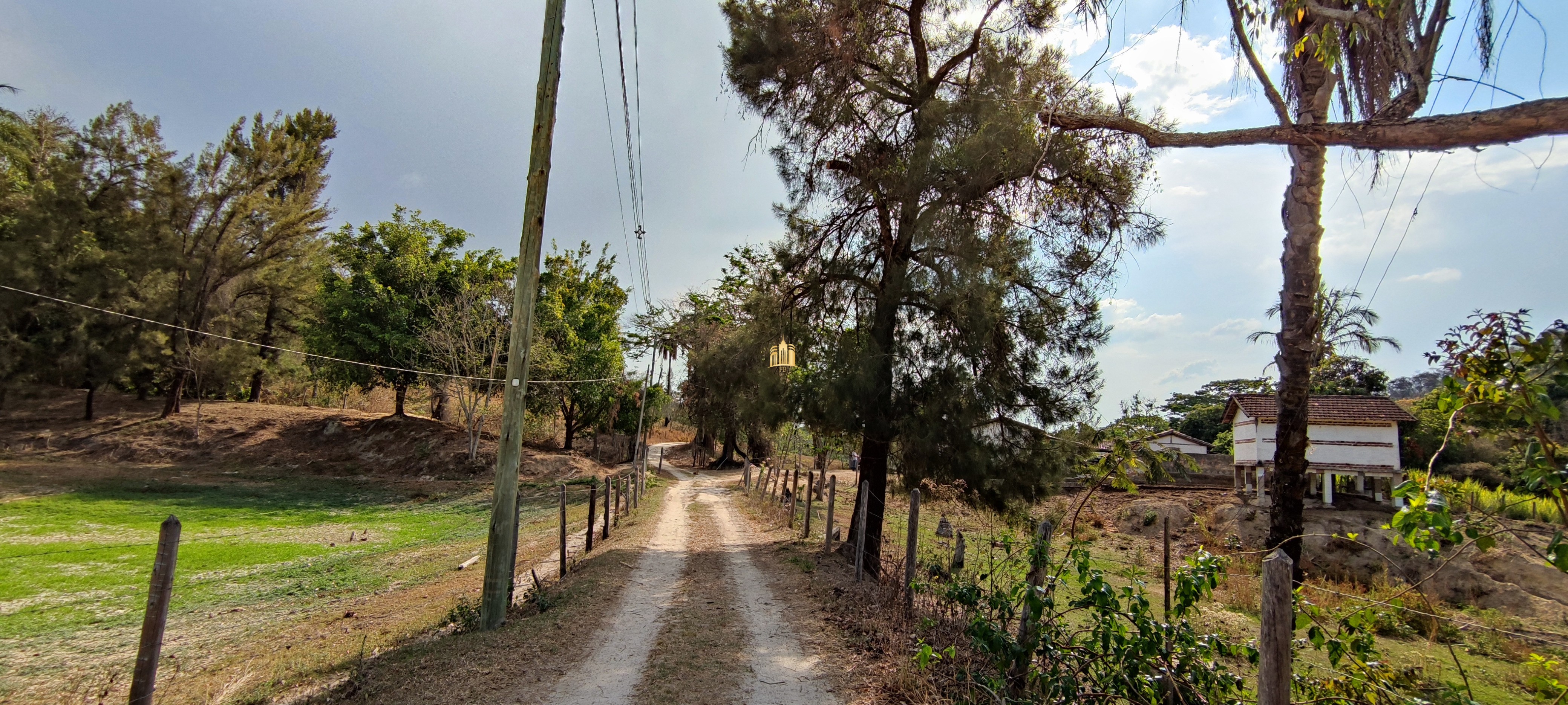 Fazenda à venda com 4 quartos, 1570000m² - Foto 21