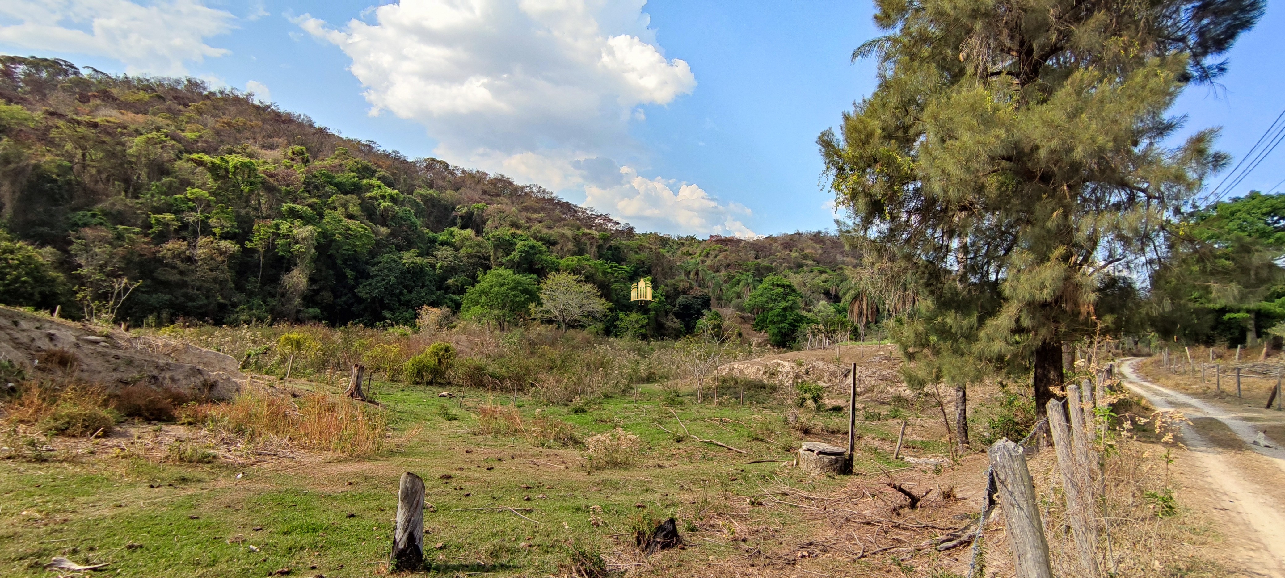 Fazenda à venda com 4 quartos, 1570000m² - Foto 19