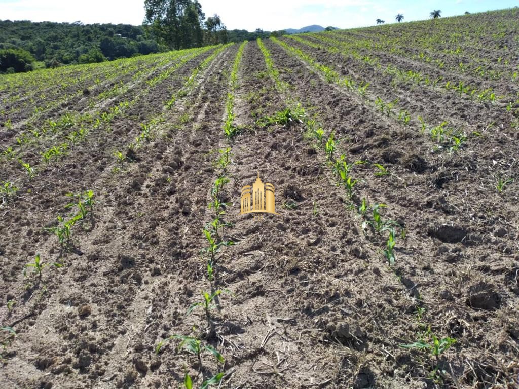 Fazenda à venda com 7 quartos, 300m² - Foto 6