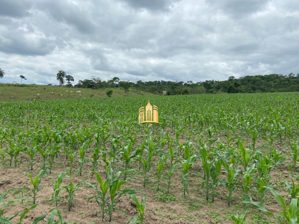 Fazenda à venda com 7 quartos, 300m² - Foto 2