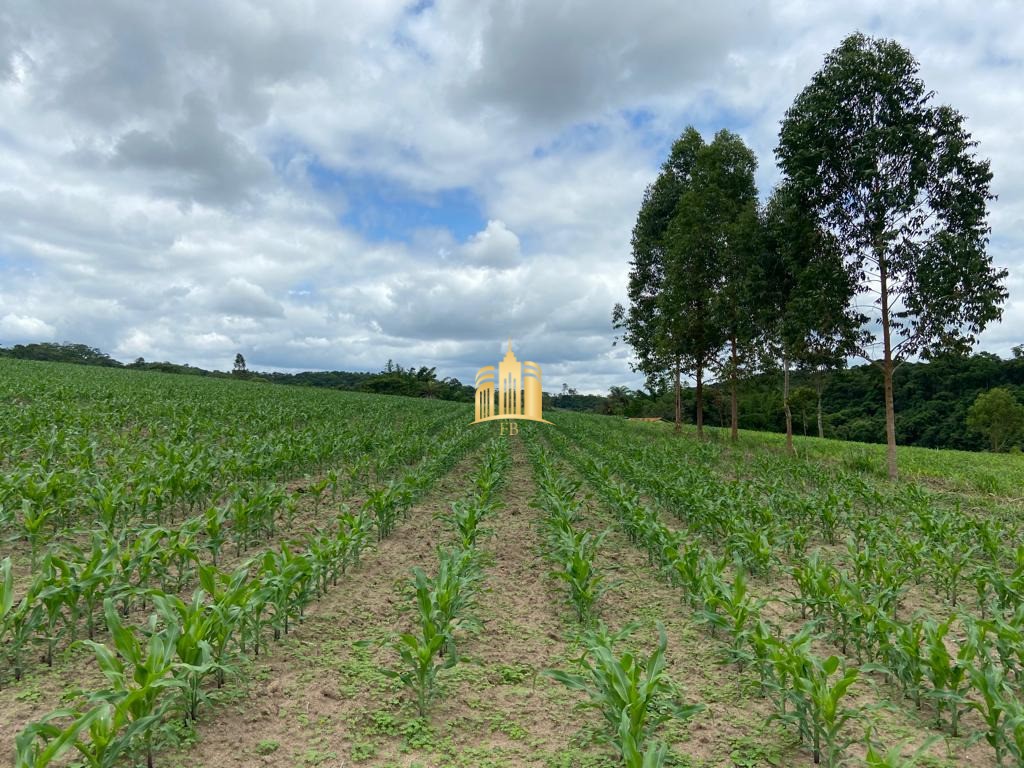 Fazenda à venda com 7 quartos, 300m² - Foto 1