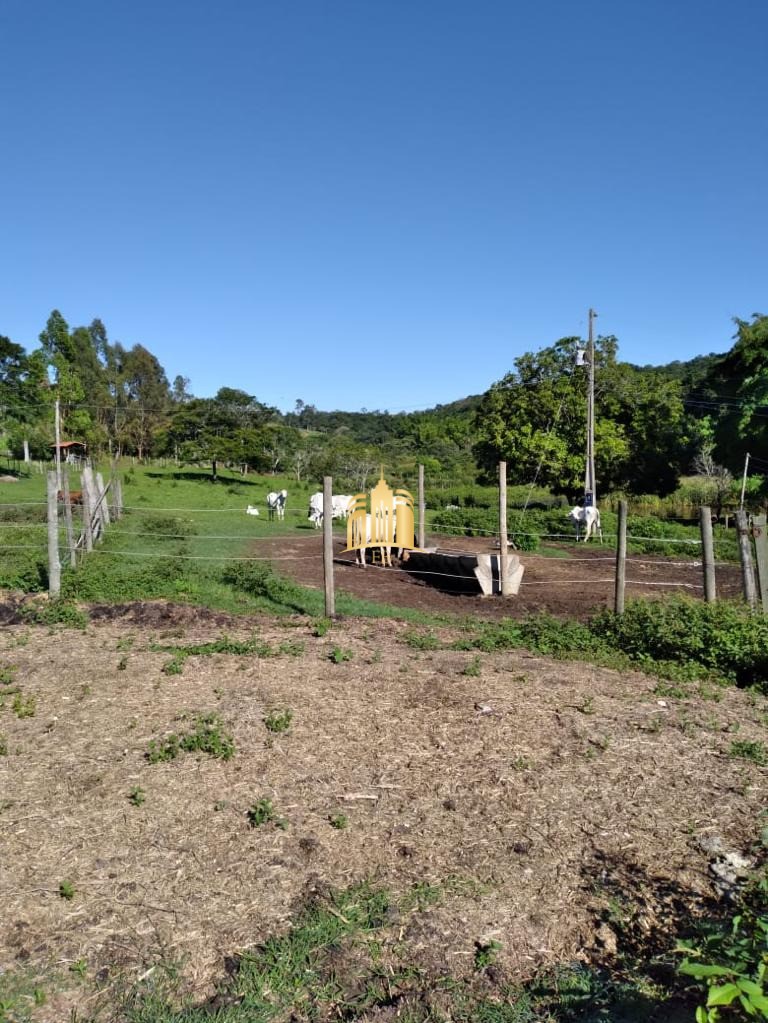 Fazenda à venda com 7 quartos, 300m² - Foto 16