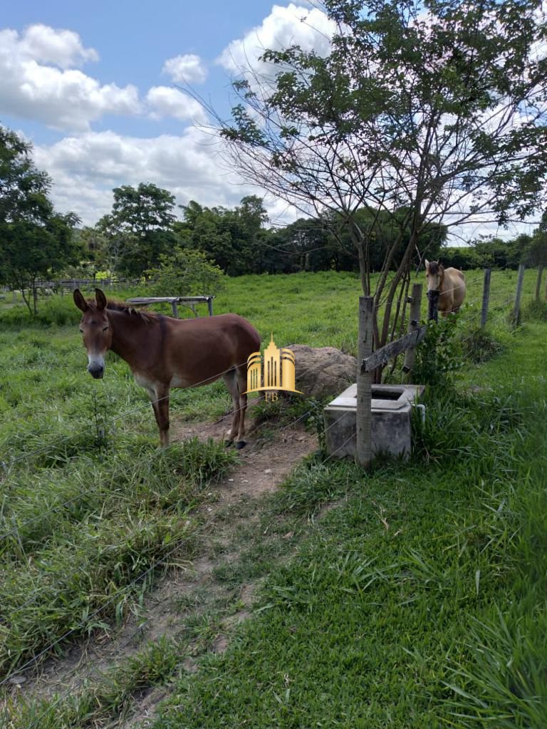 Fazenda à venda com 7 quartos, 300m² - Foto 15