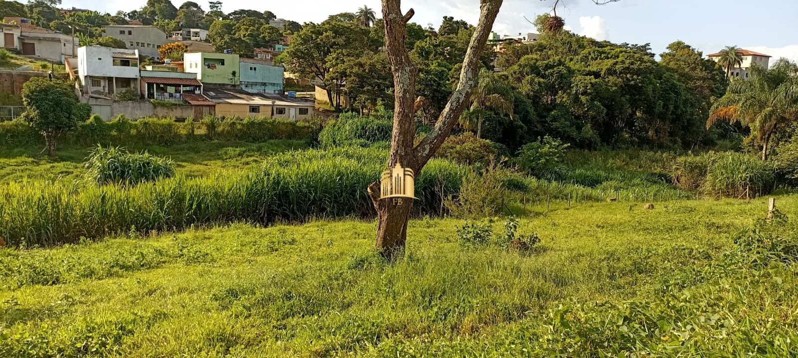 Terreno à venda, 360m² - Foto 4