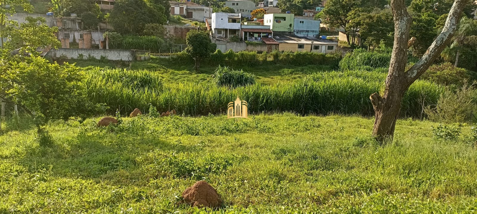 Terreno à venda, 360m² - Foto 7