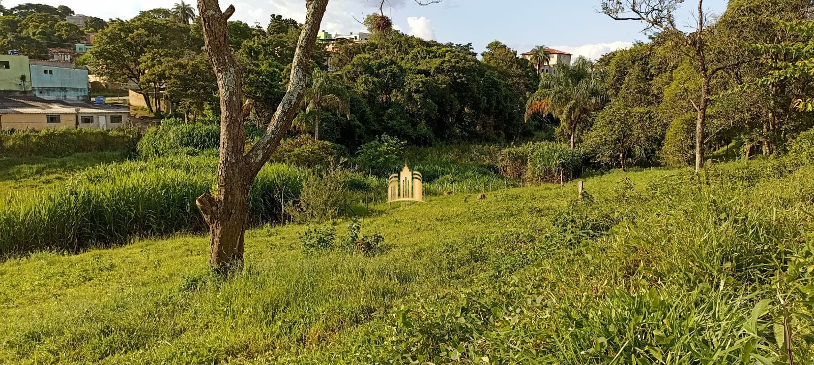 Terreno à venda, 360m² - Foto 7