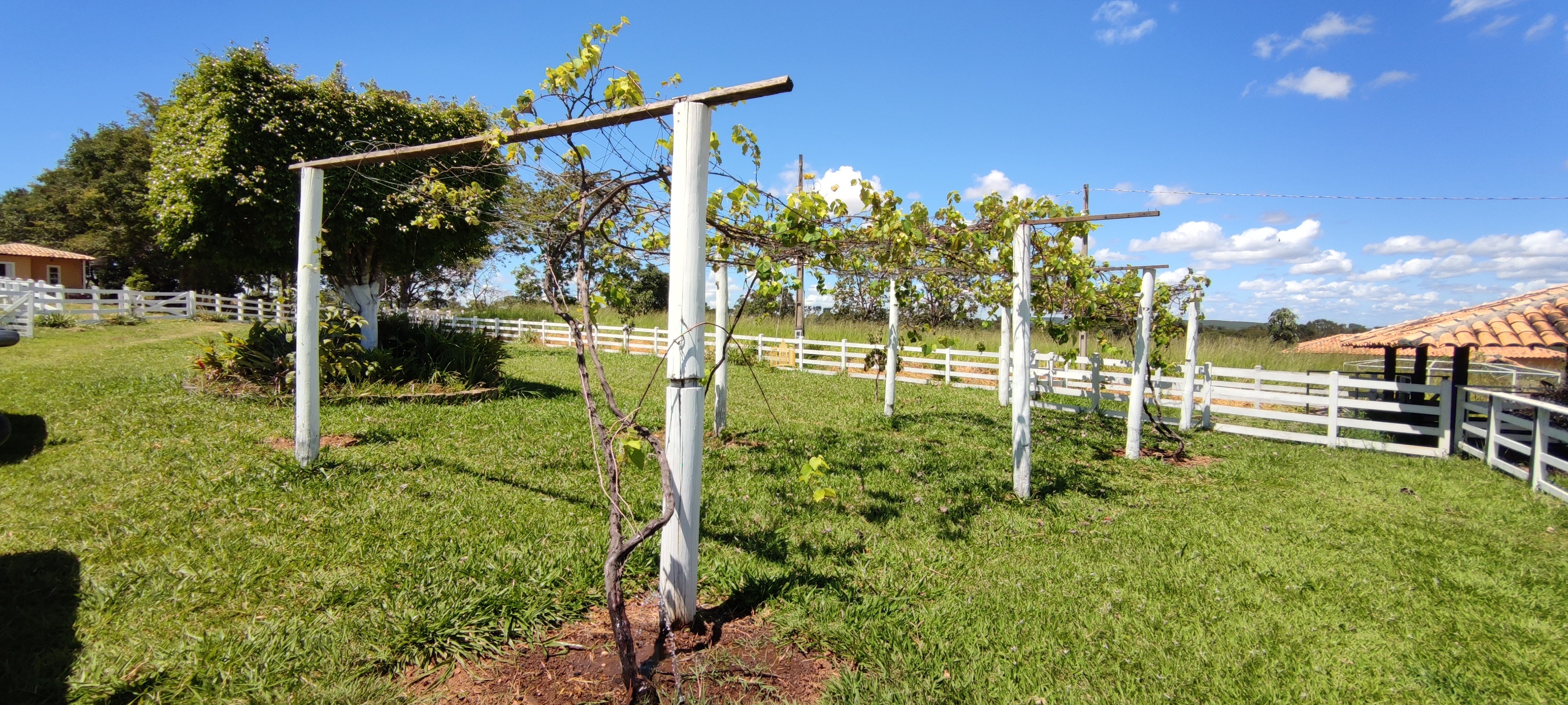 Fazenda à venda com 2 quartos, 131916m² - Foto 109