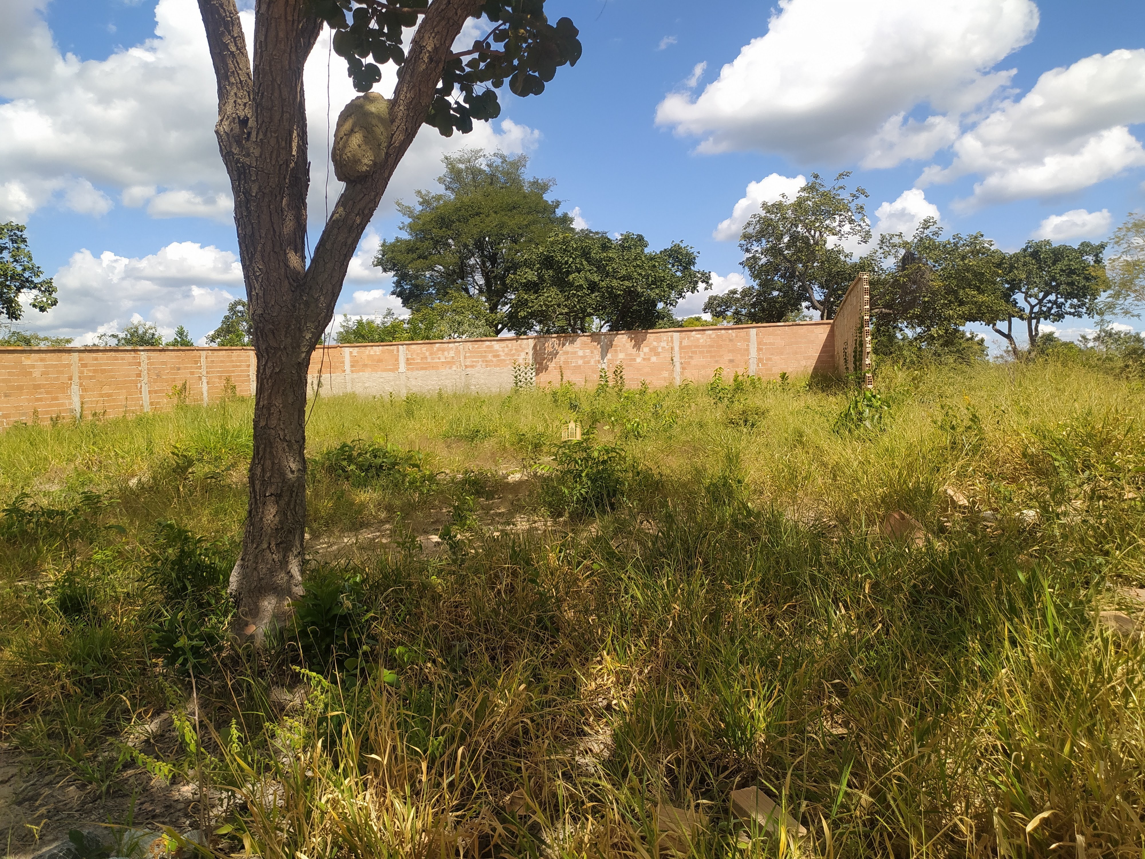 Terreno à venda, 360m² - Foto 1